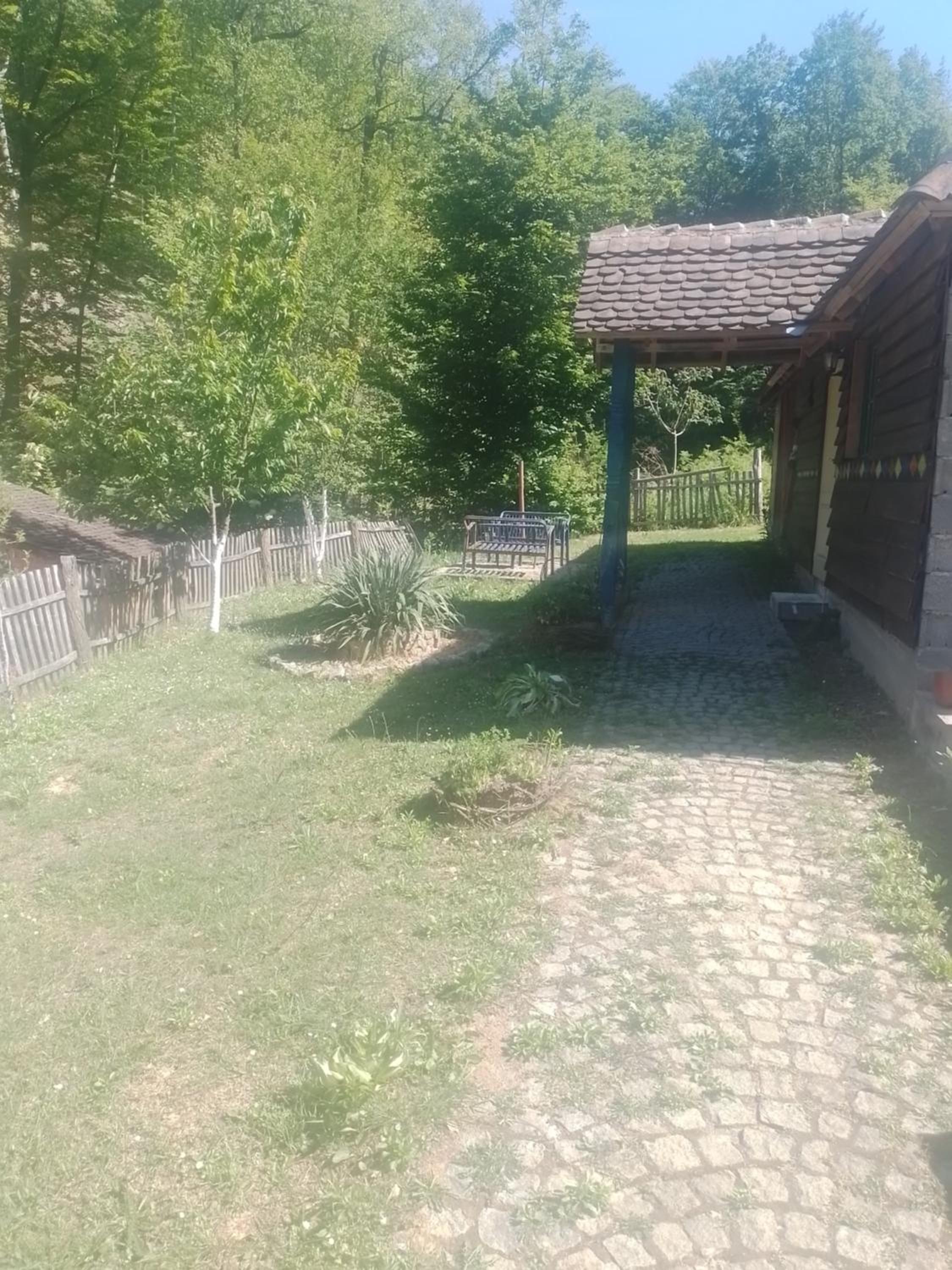Photo 11