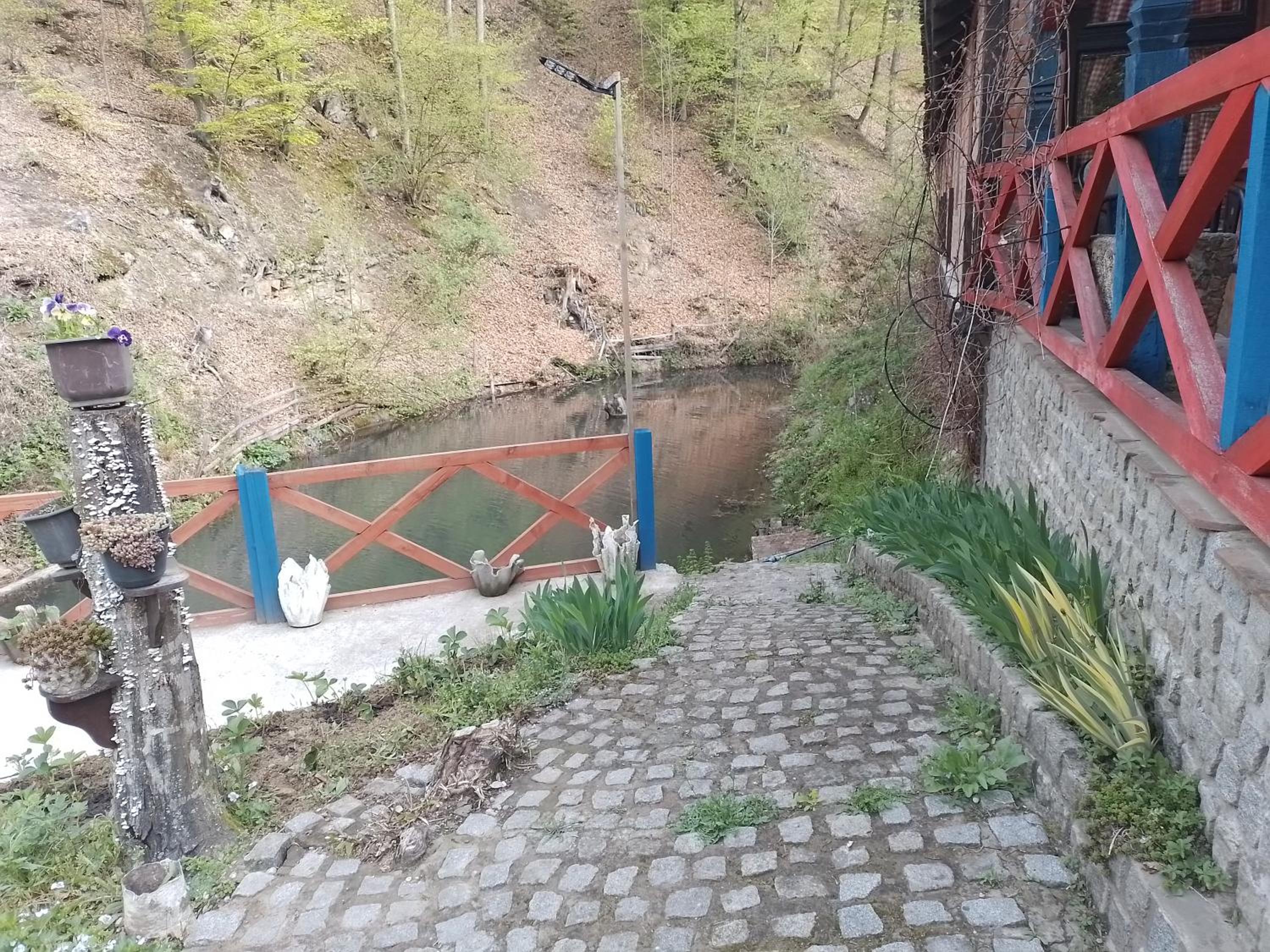 Photo 22