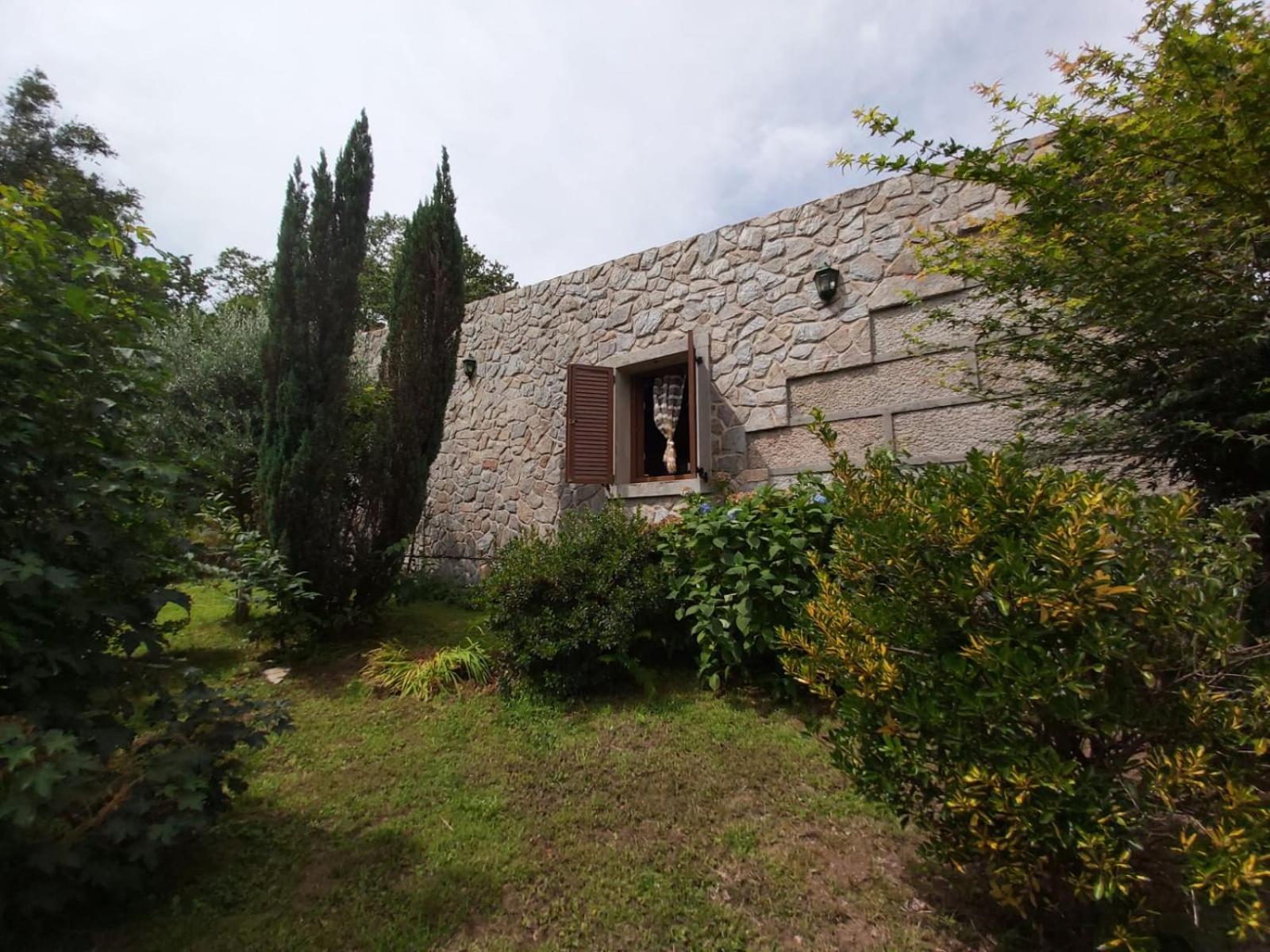 Photo 32