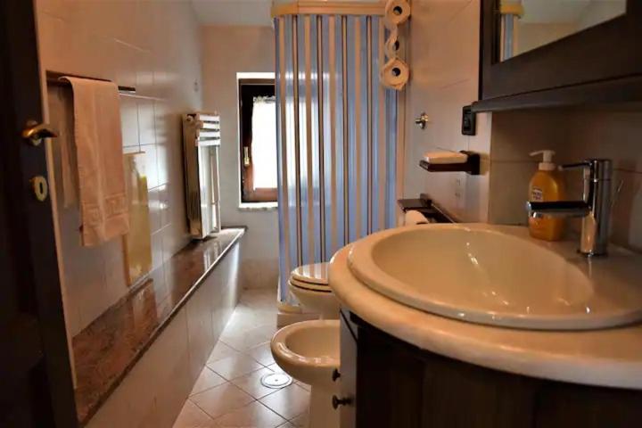 HomeBiagino-Scario