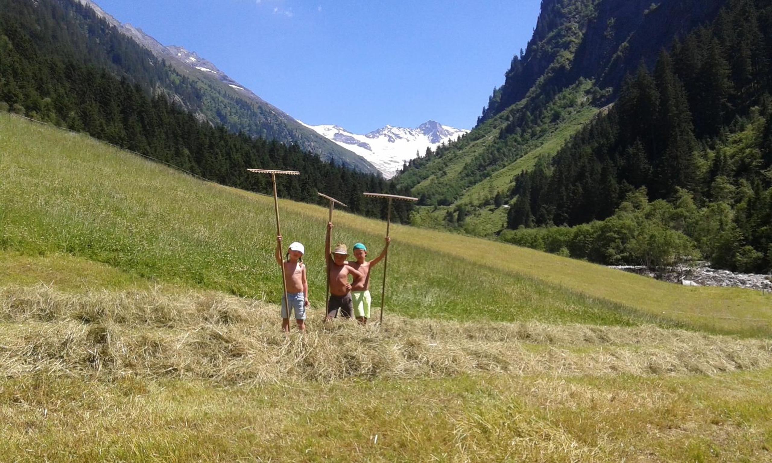 Apartment Wandegg im Bergsteigerdorf Ginzling Mayrhofen