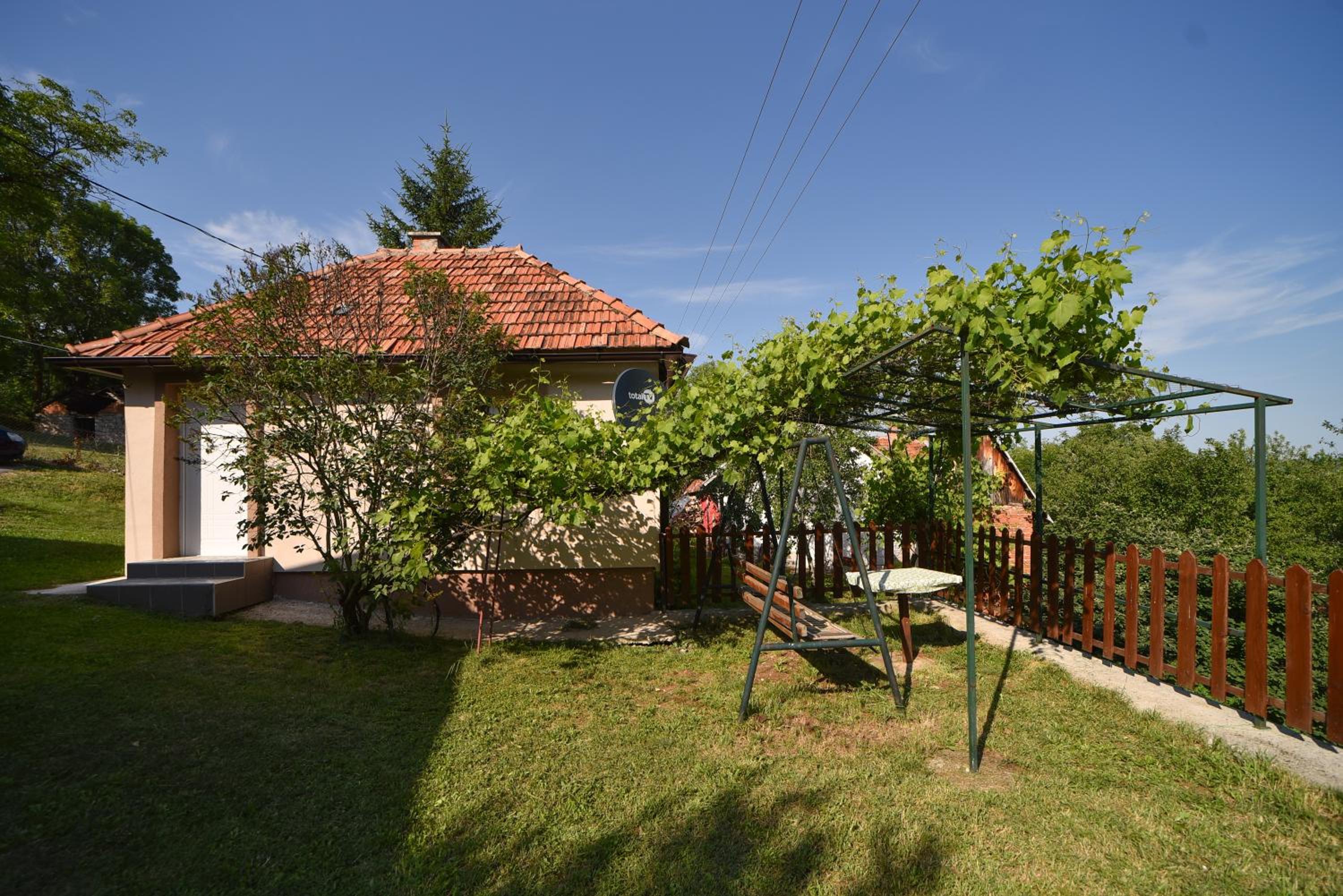 Photo 11