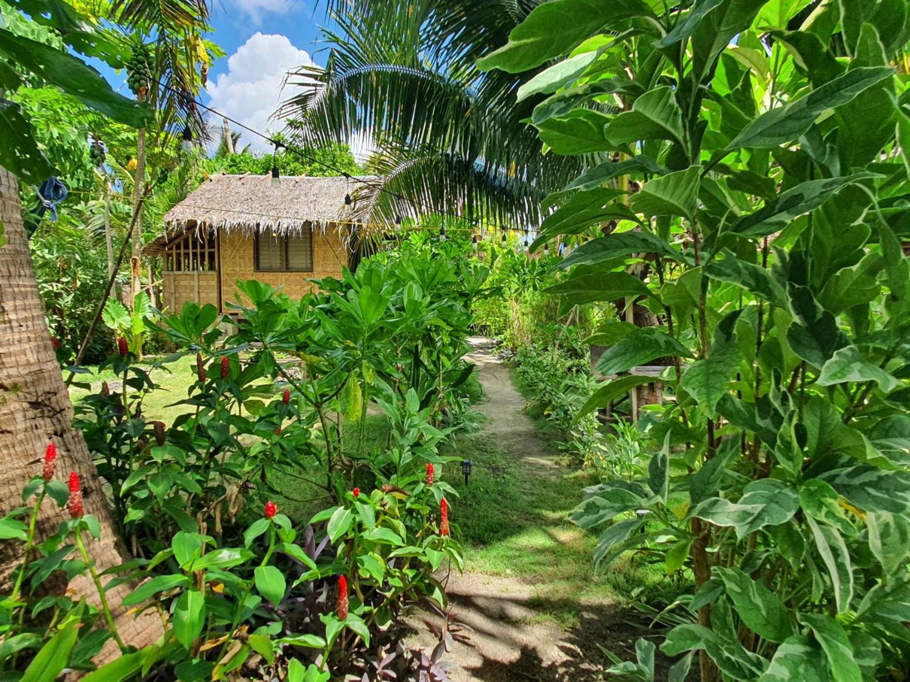 Coleto Siargao