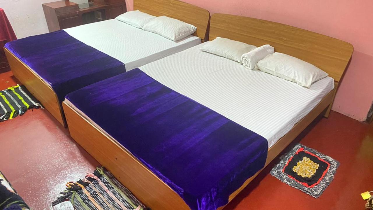 Elephant Hostel