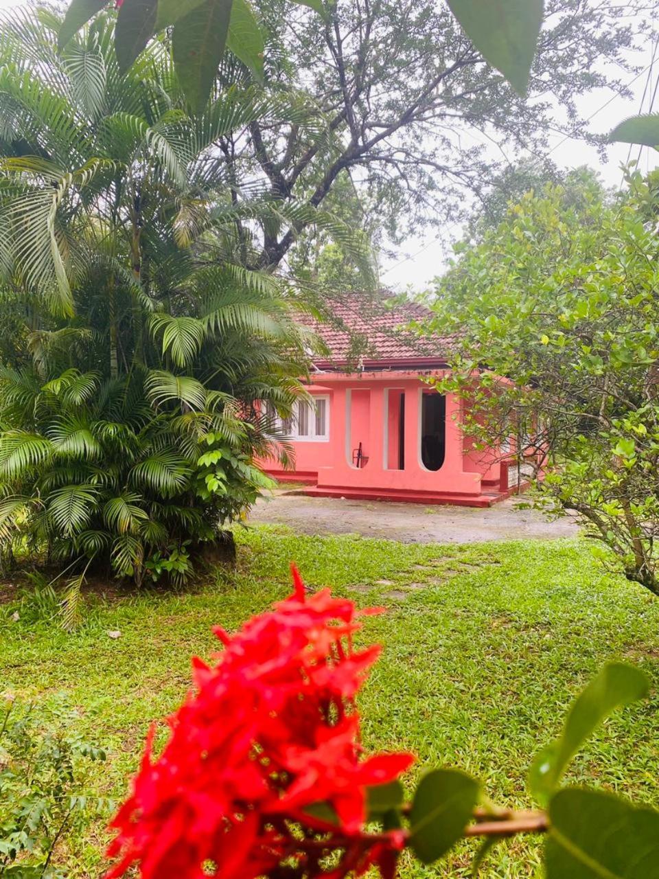 Elephant Hostel