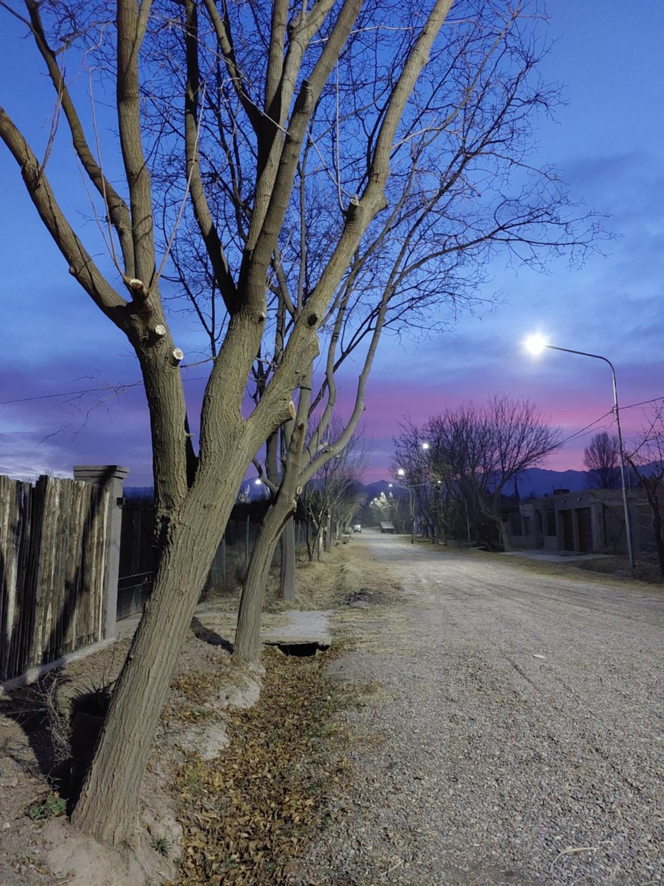 Casa Catalpa