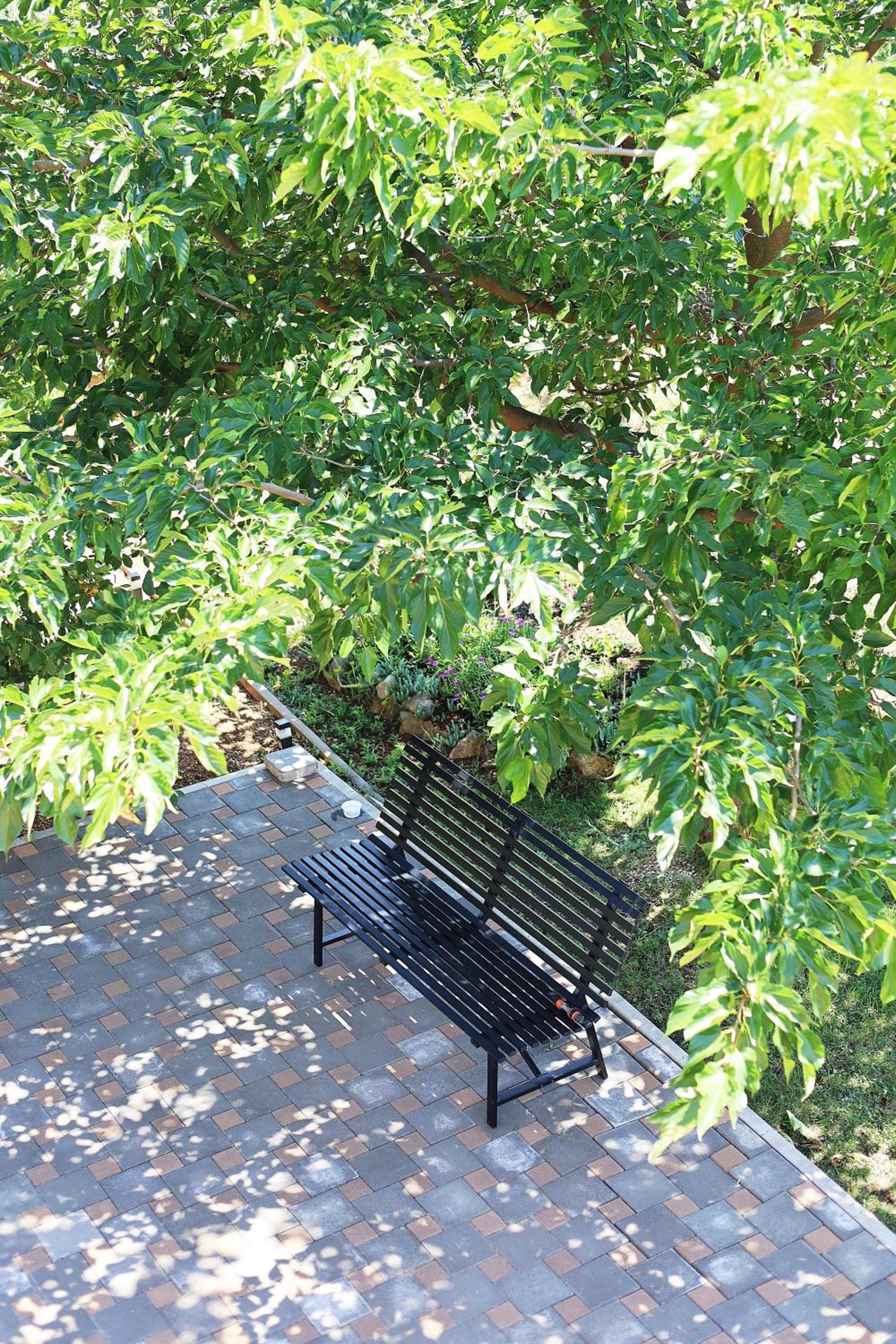 Photo 42