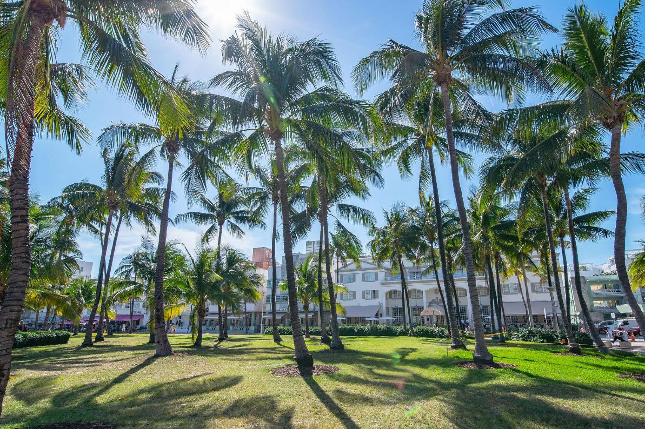 Comfy 1 B/R, Near Ocean Dr & Beach - South Beach