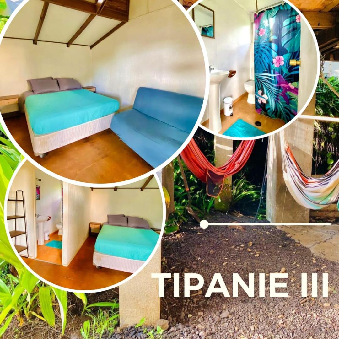 Mata Nui Eco Hostel