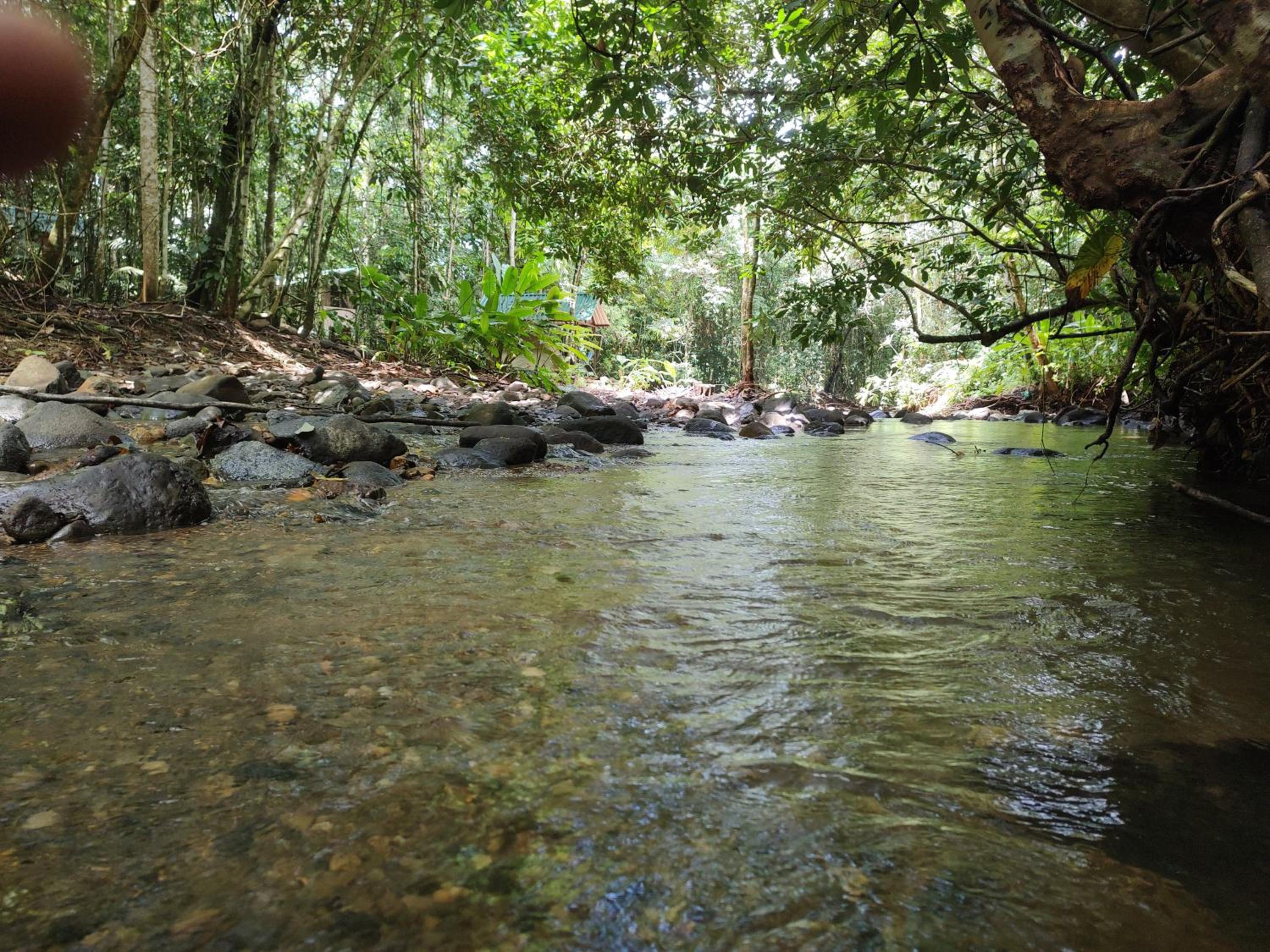 Cool Waters Jungle Camping