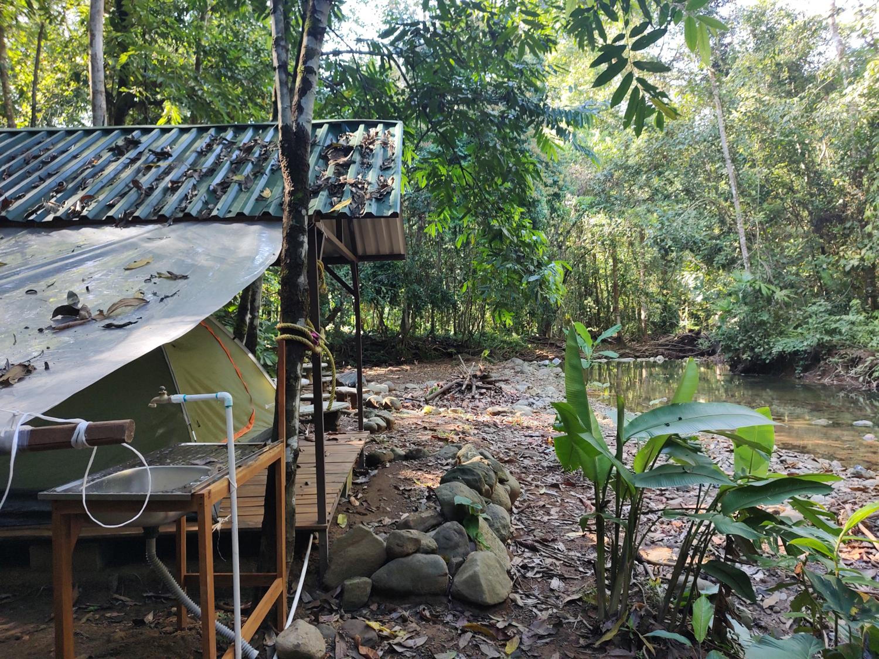 Cool Waters Jungle Camping