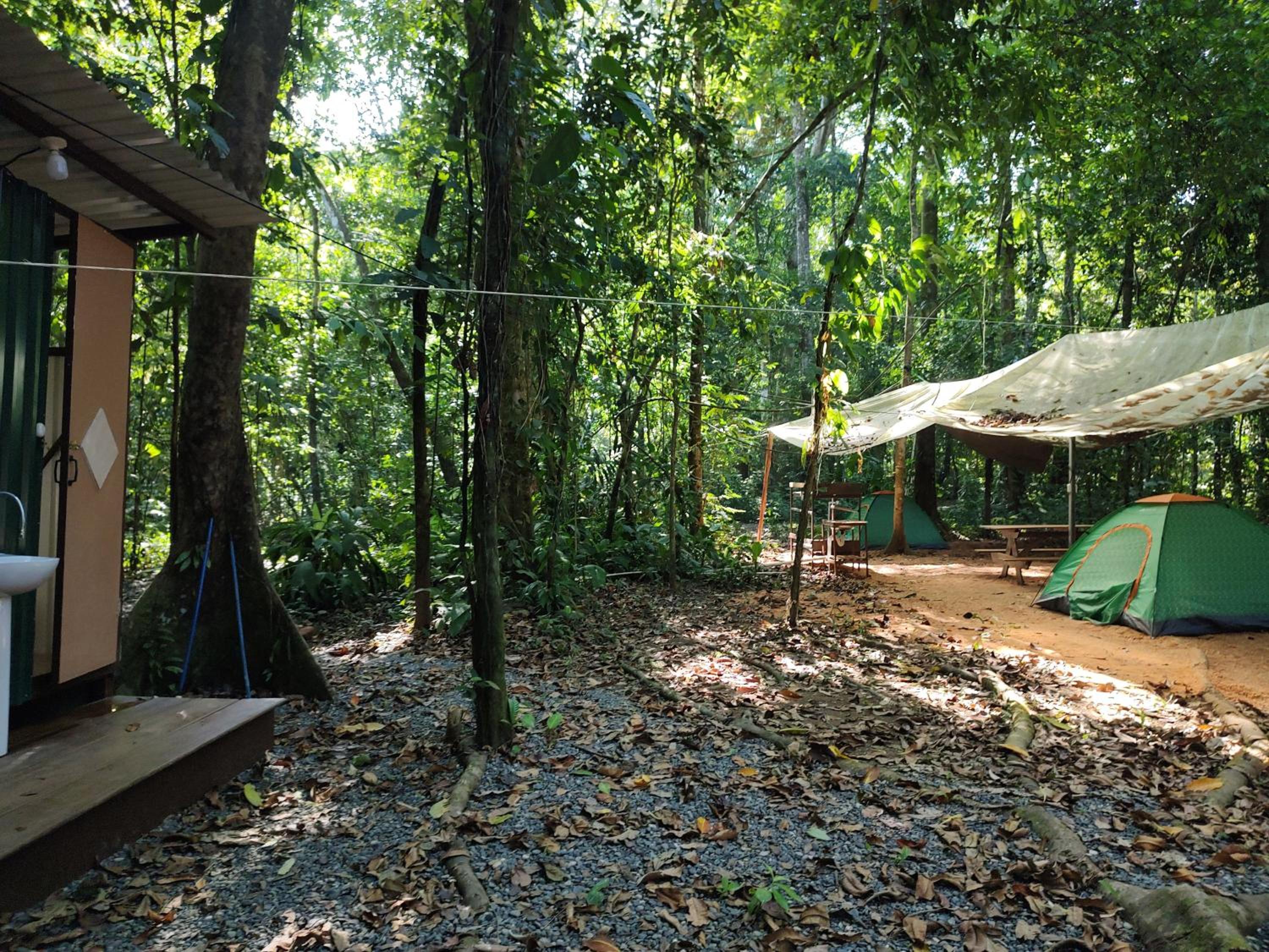 Cool Waters Jungle Camping
