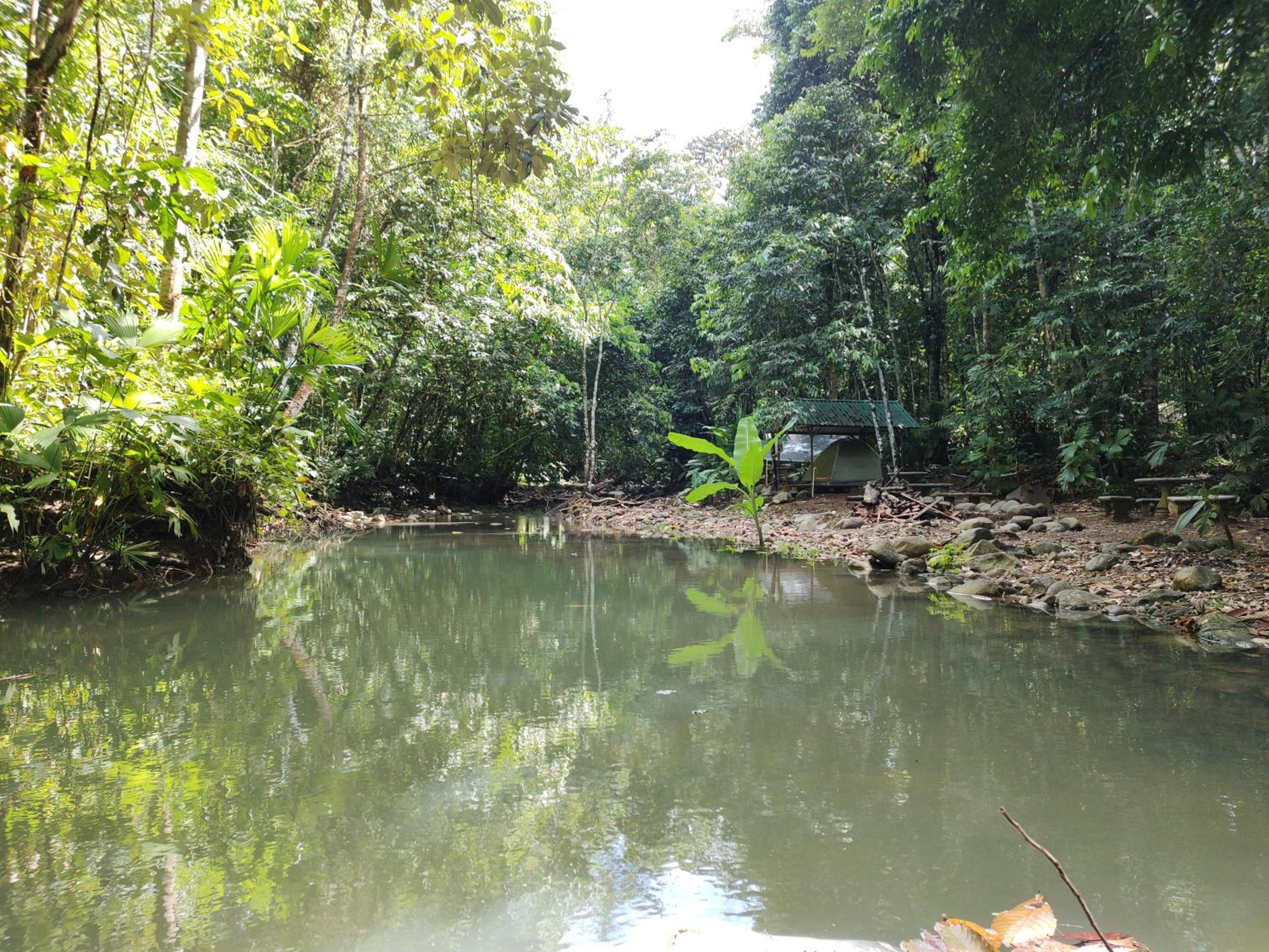 Cool Waters Jungle Camping