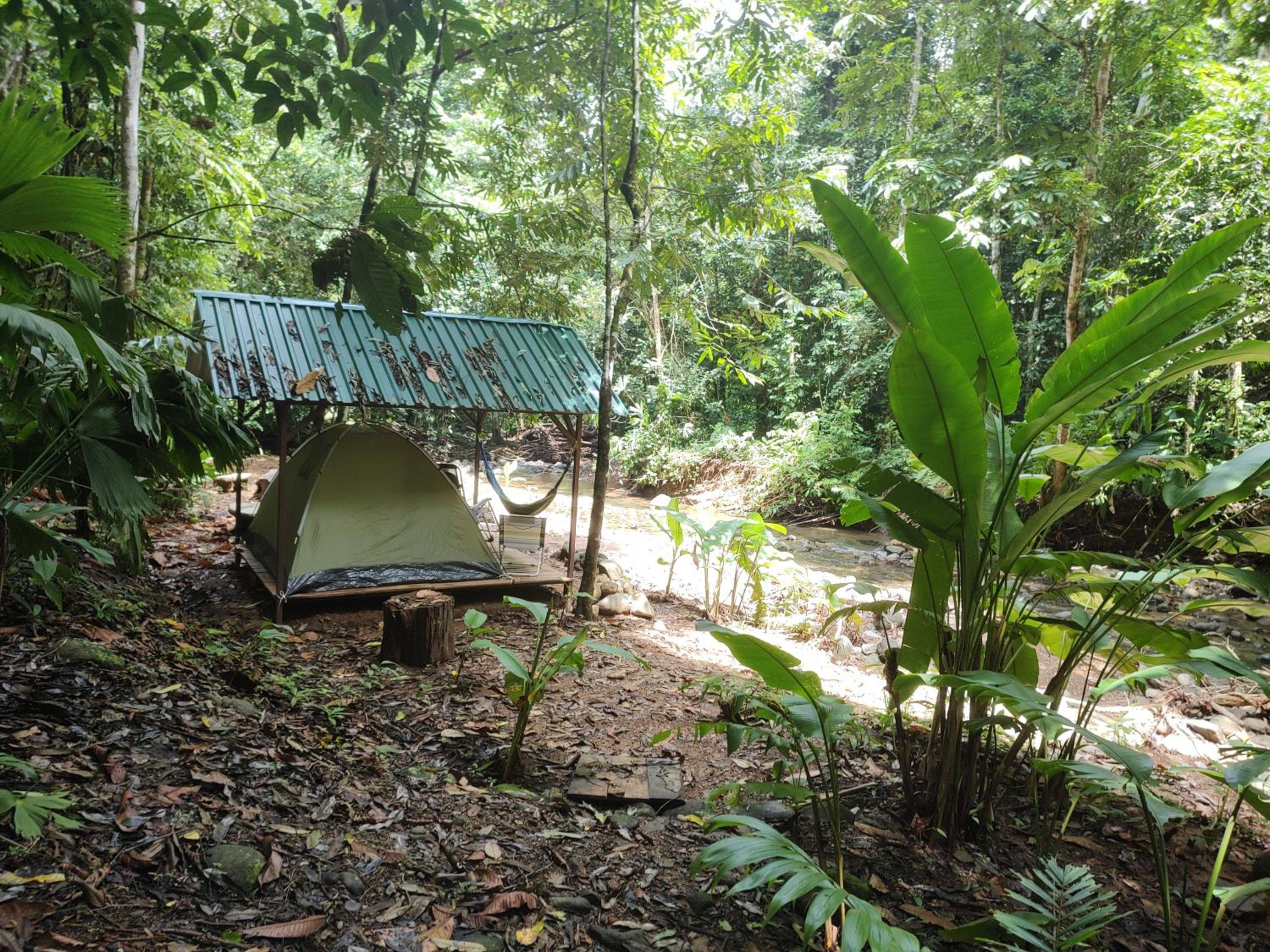 Cool Waters Jungle Camping