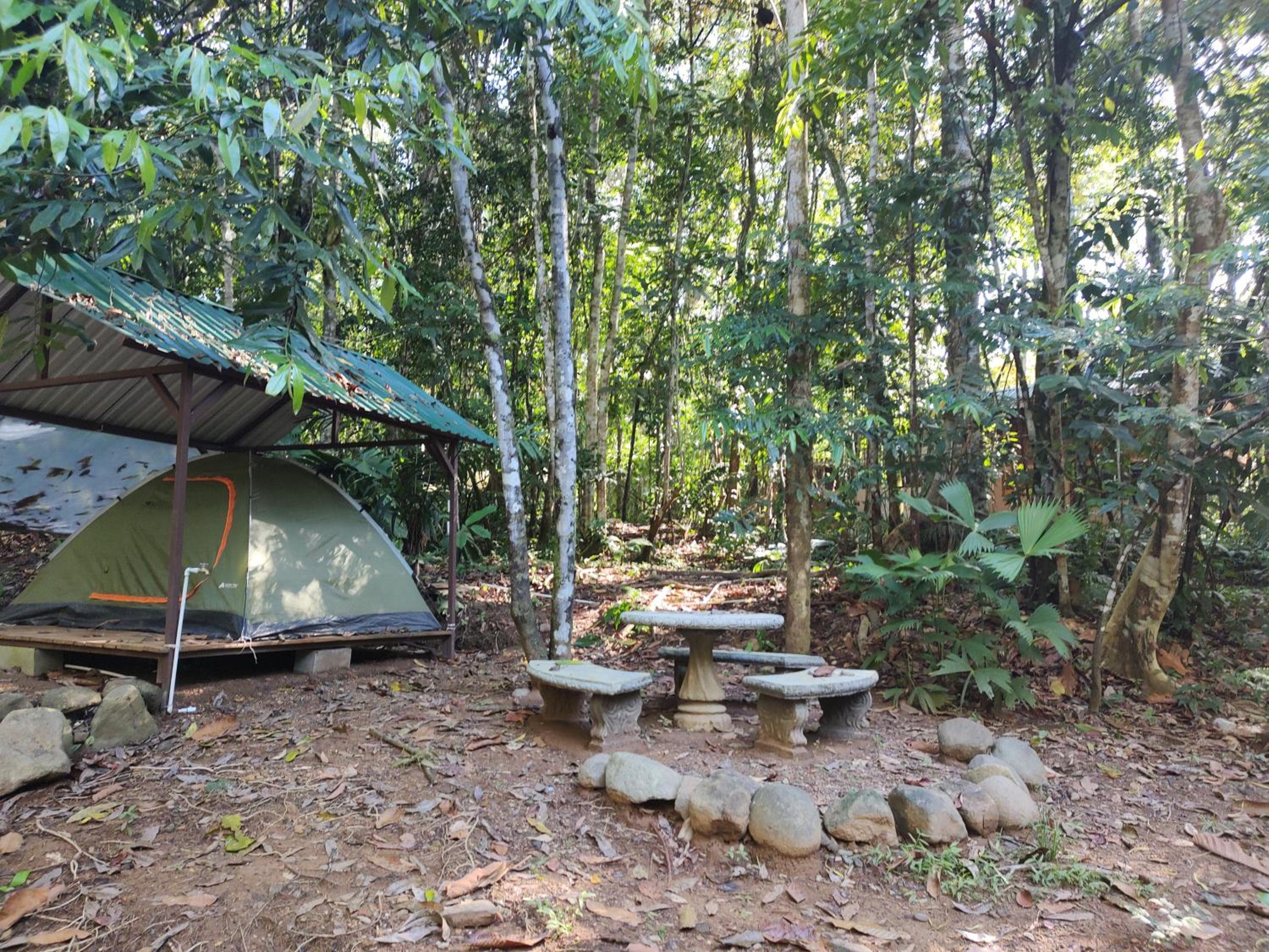 Cool Waters Jungle Camping