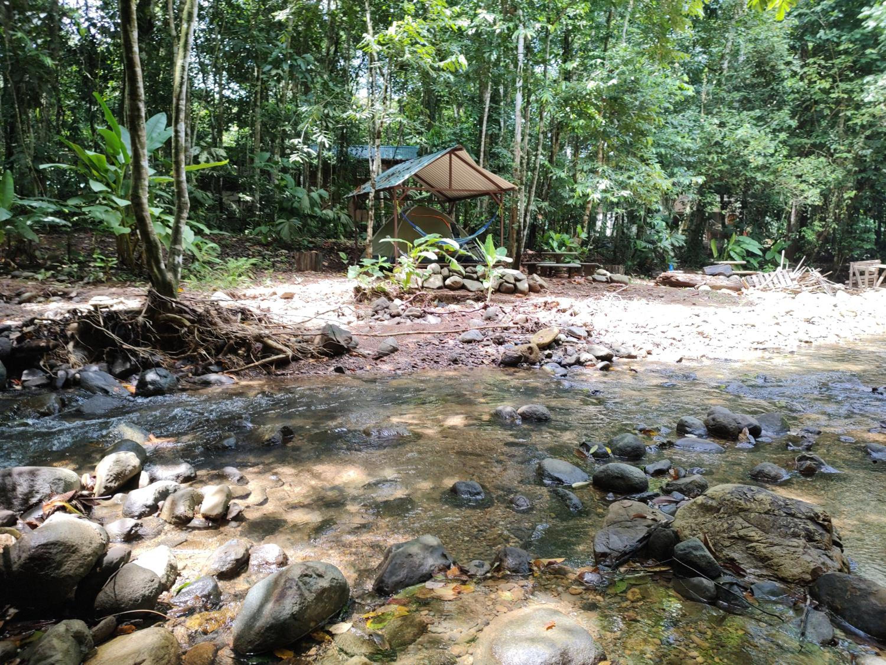 Cool Waters Jungle Camping