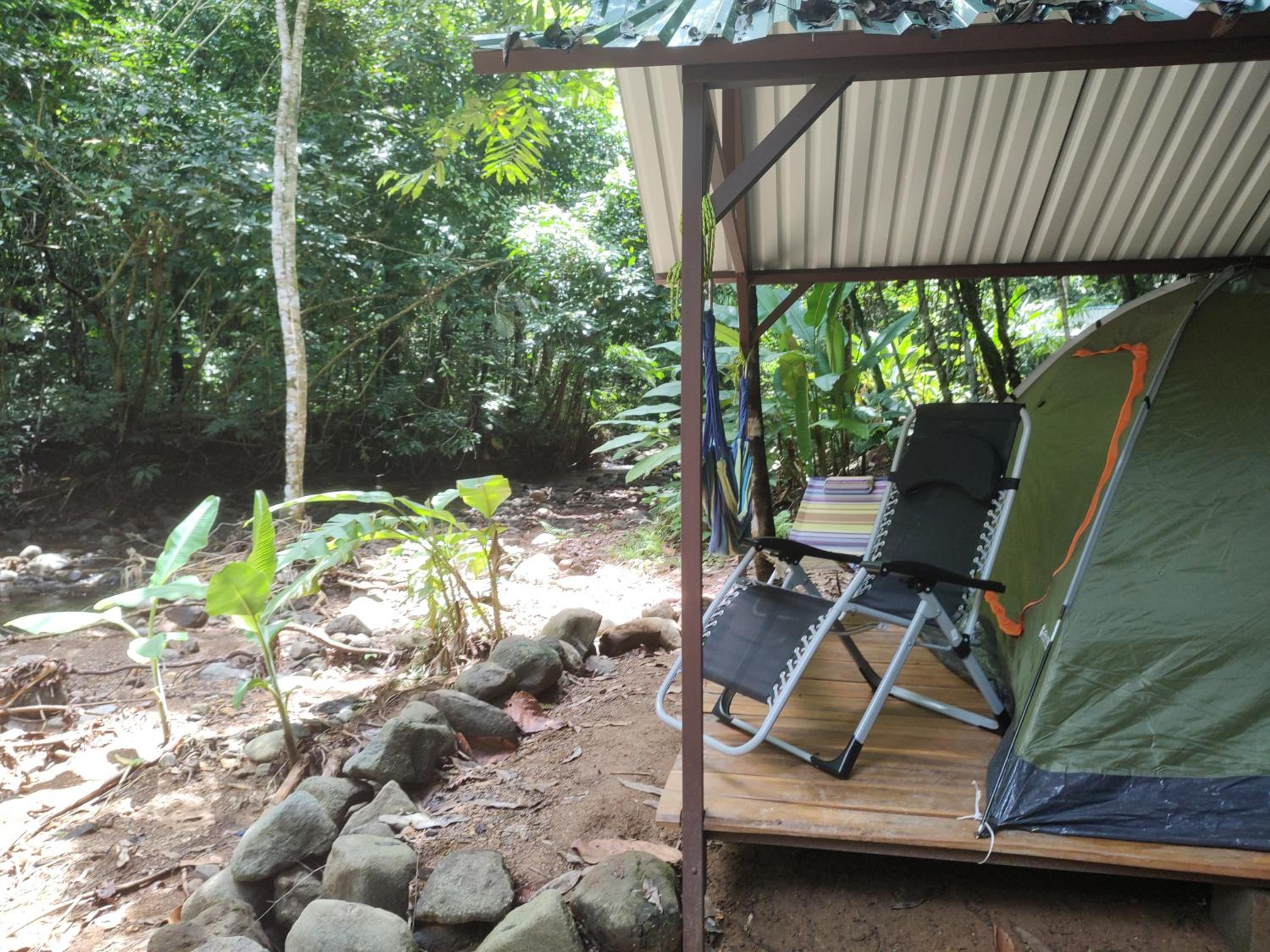 Cool Waters Jungle Camping