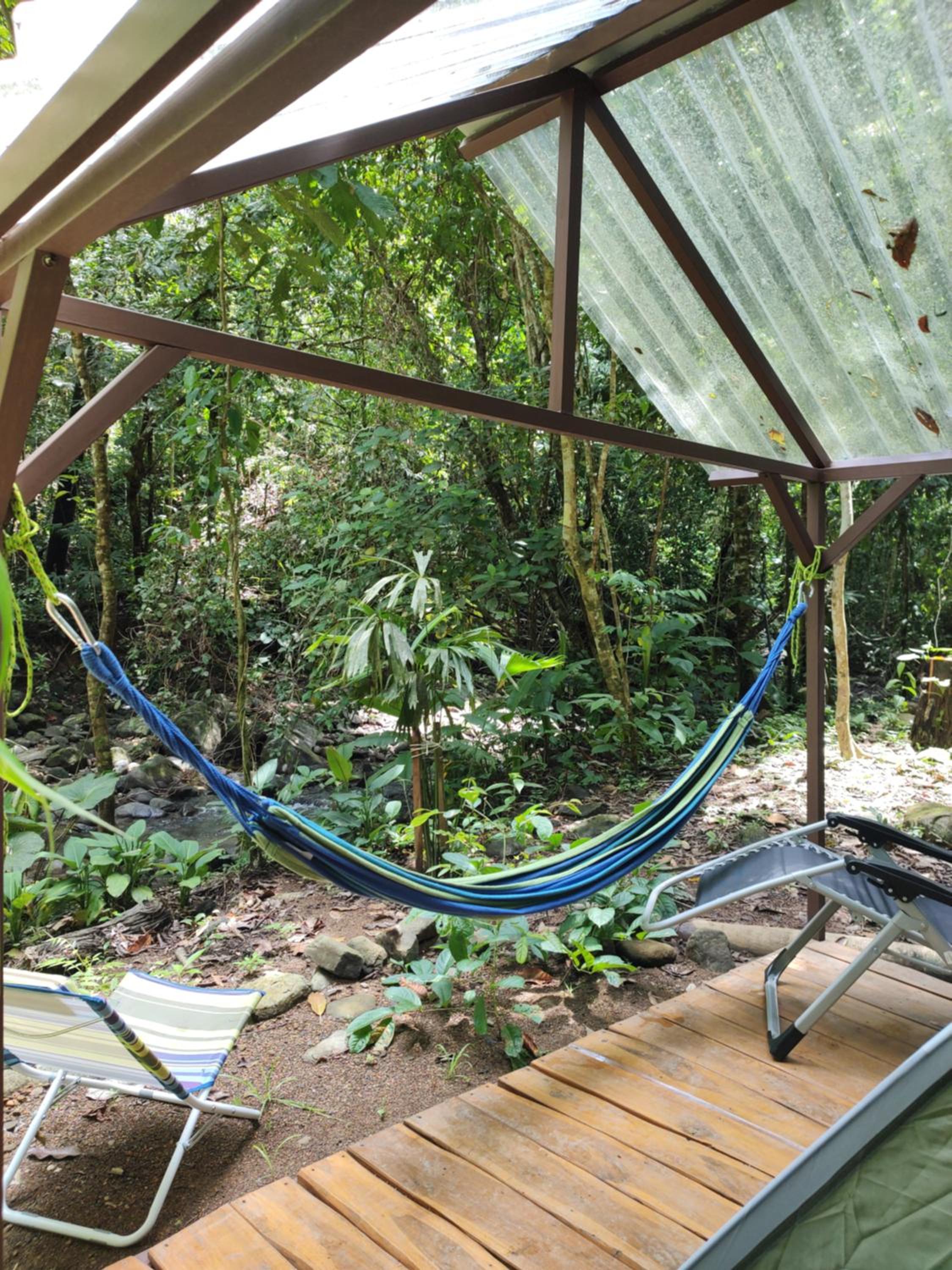 Cool Waters Jungle Camping