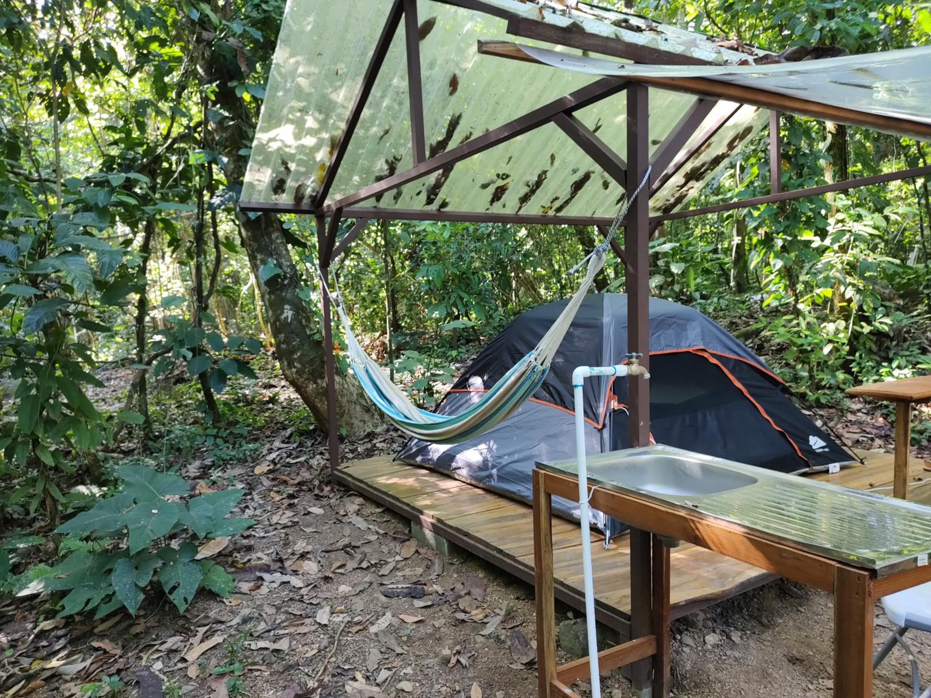 Cool Waters Jungle Camping