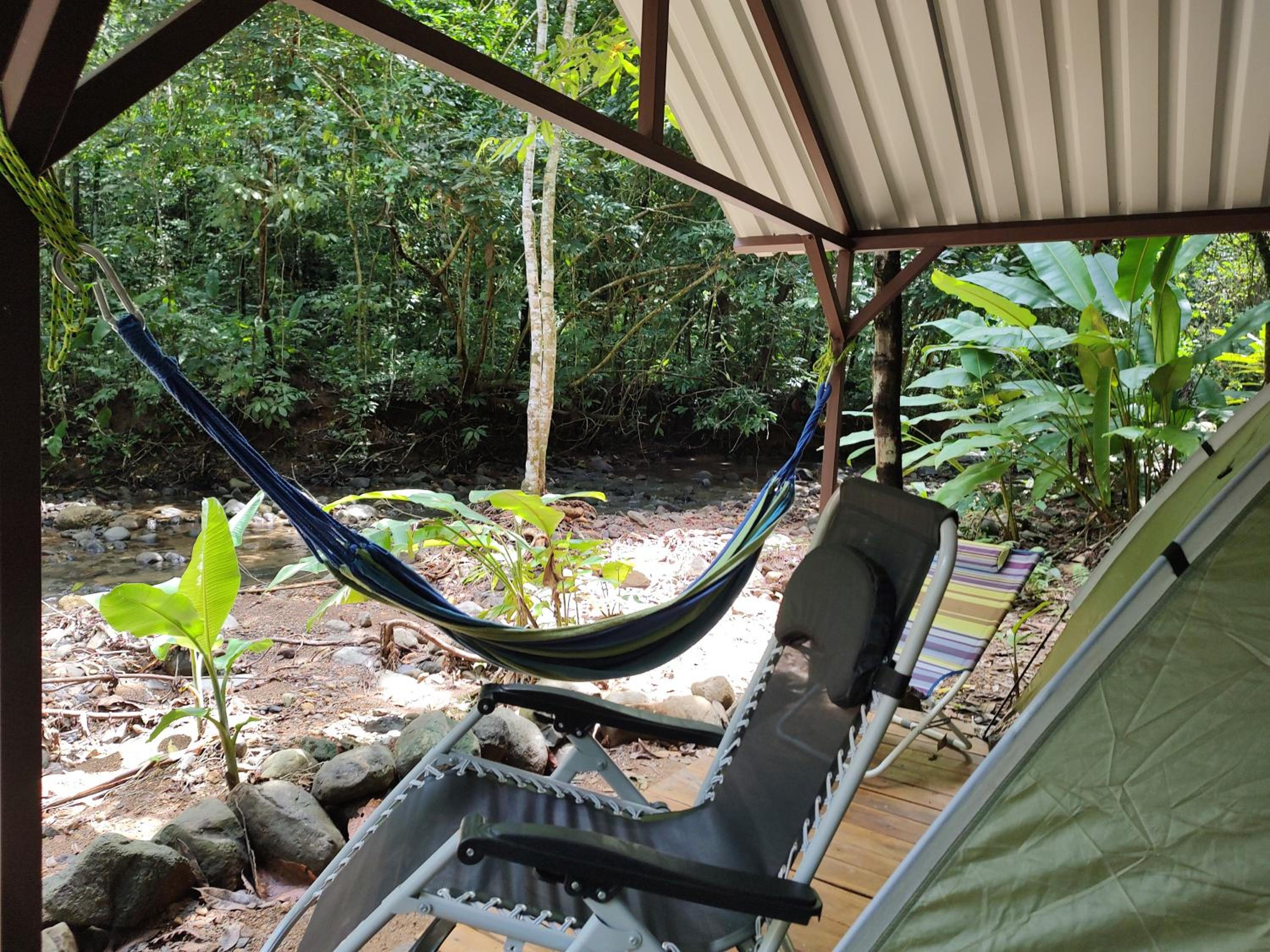 Cool Waters Jungle Camping