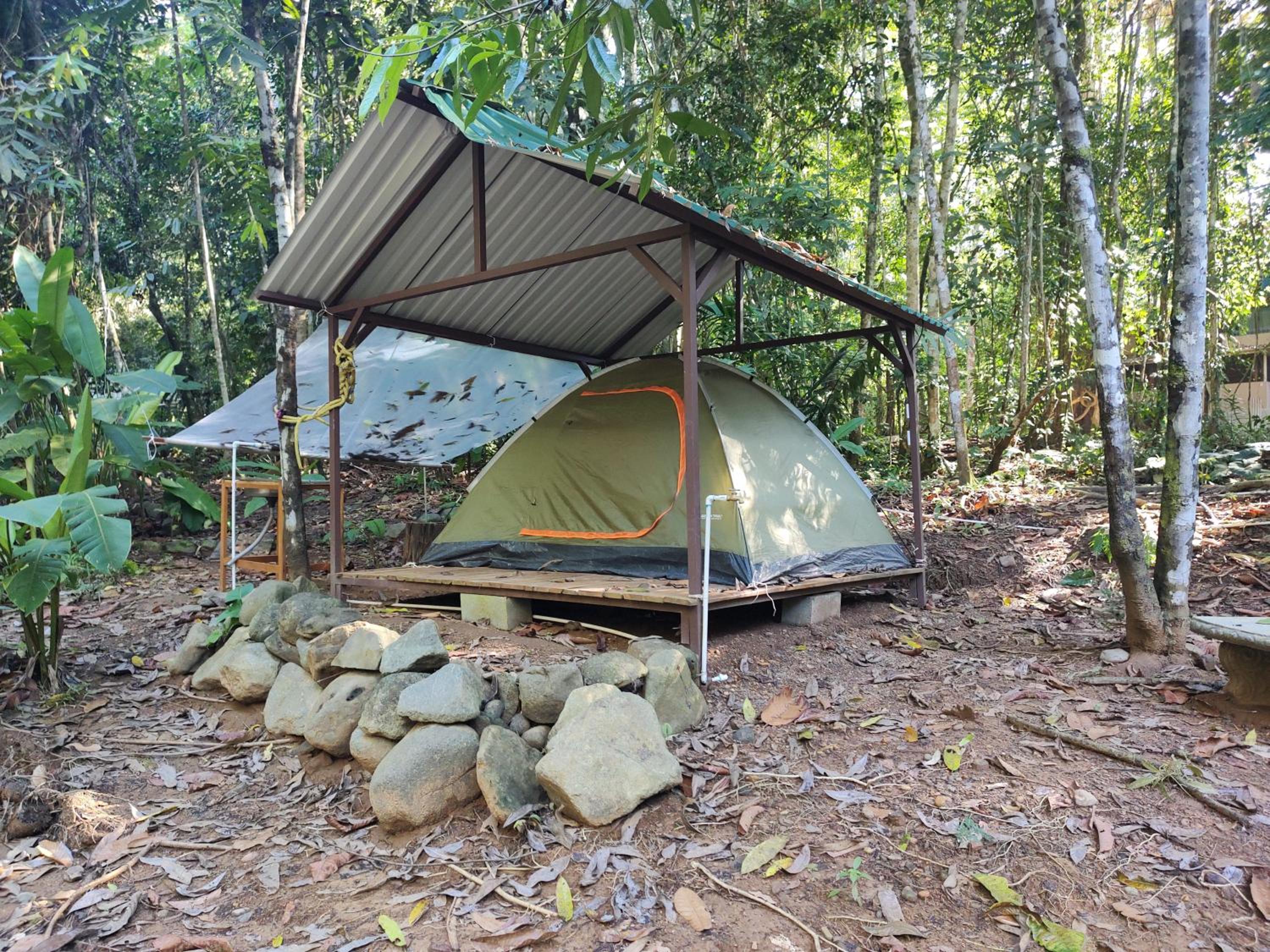 Cool Waters Jungle Camping