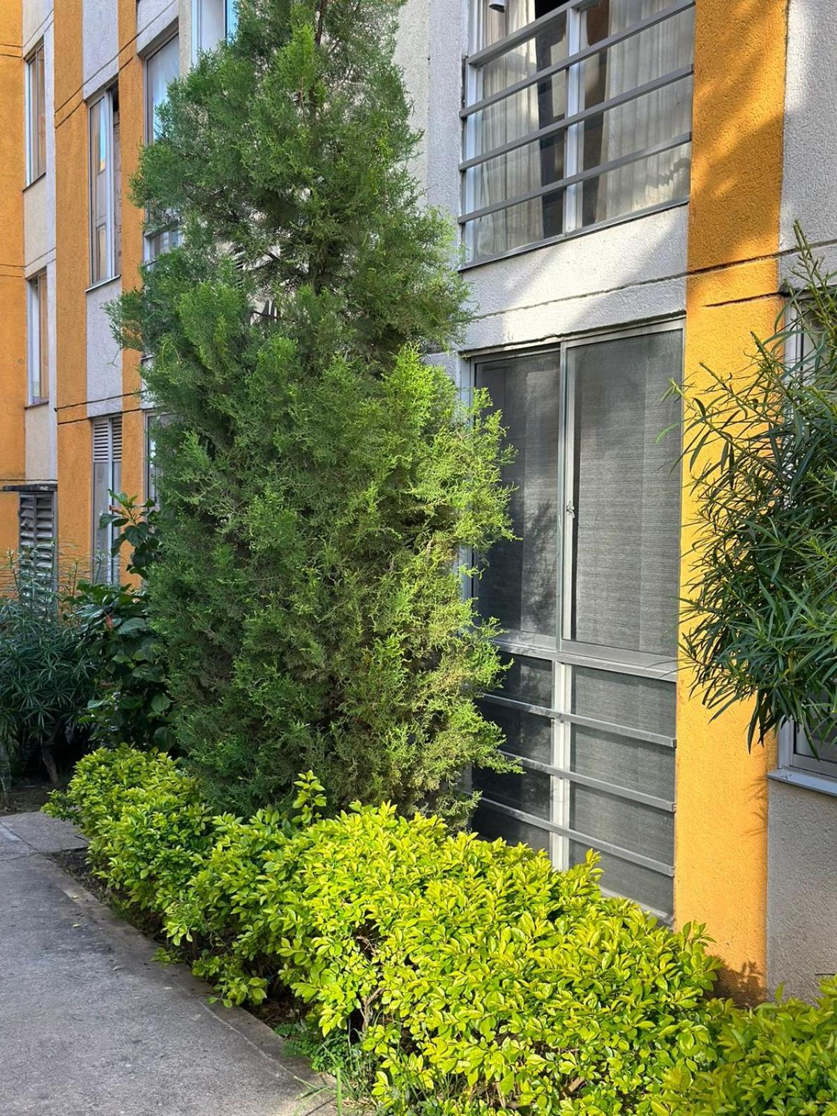 Apartamento en Ibague cerca al parque deportivo