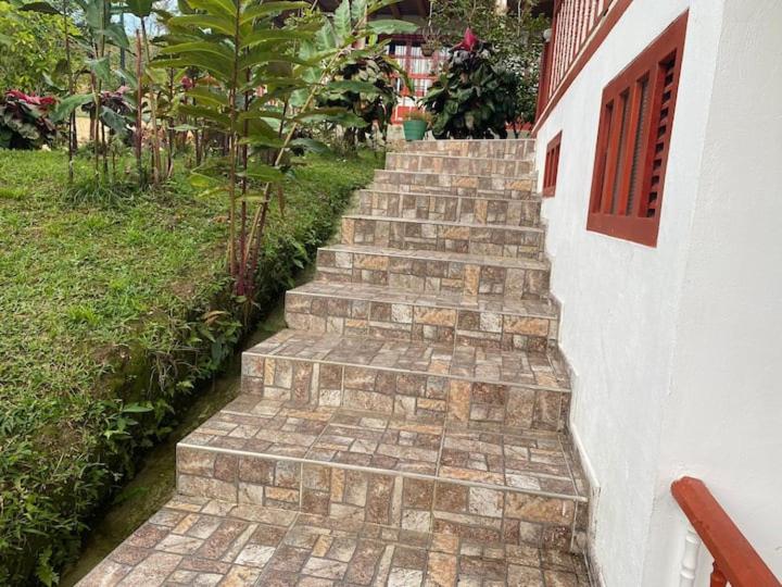 Finca La Vistosa