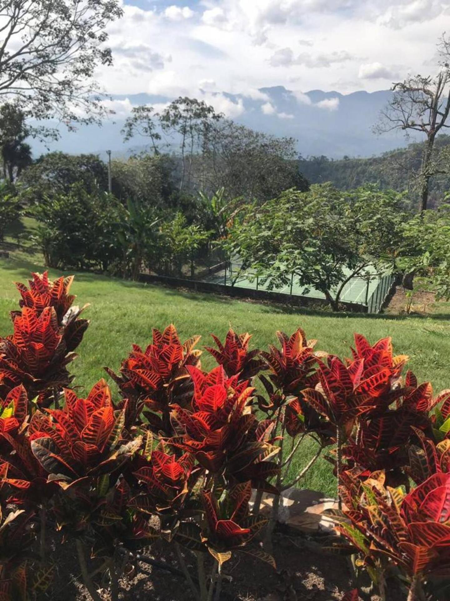 Finca La Vistosa