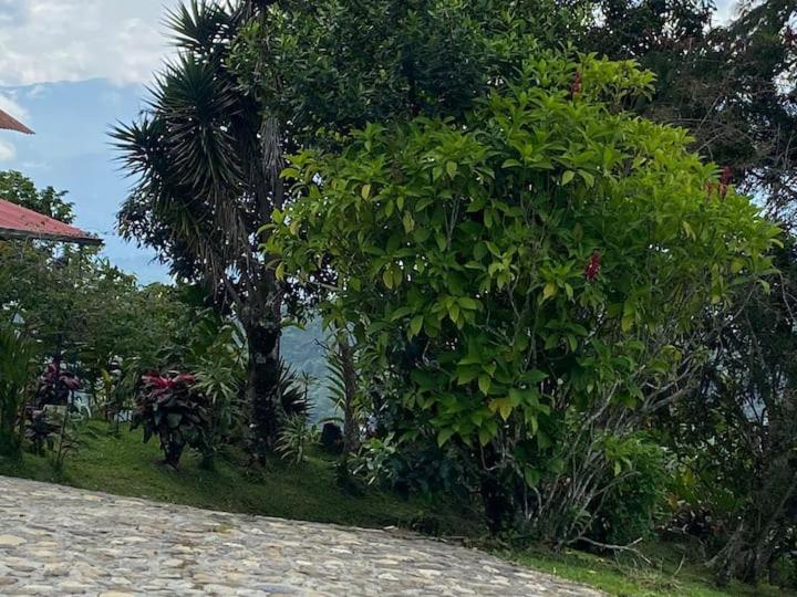 Finca La Vistosa