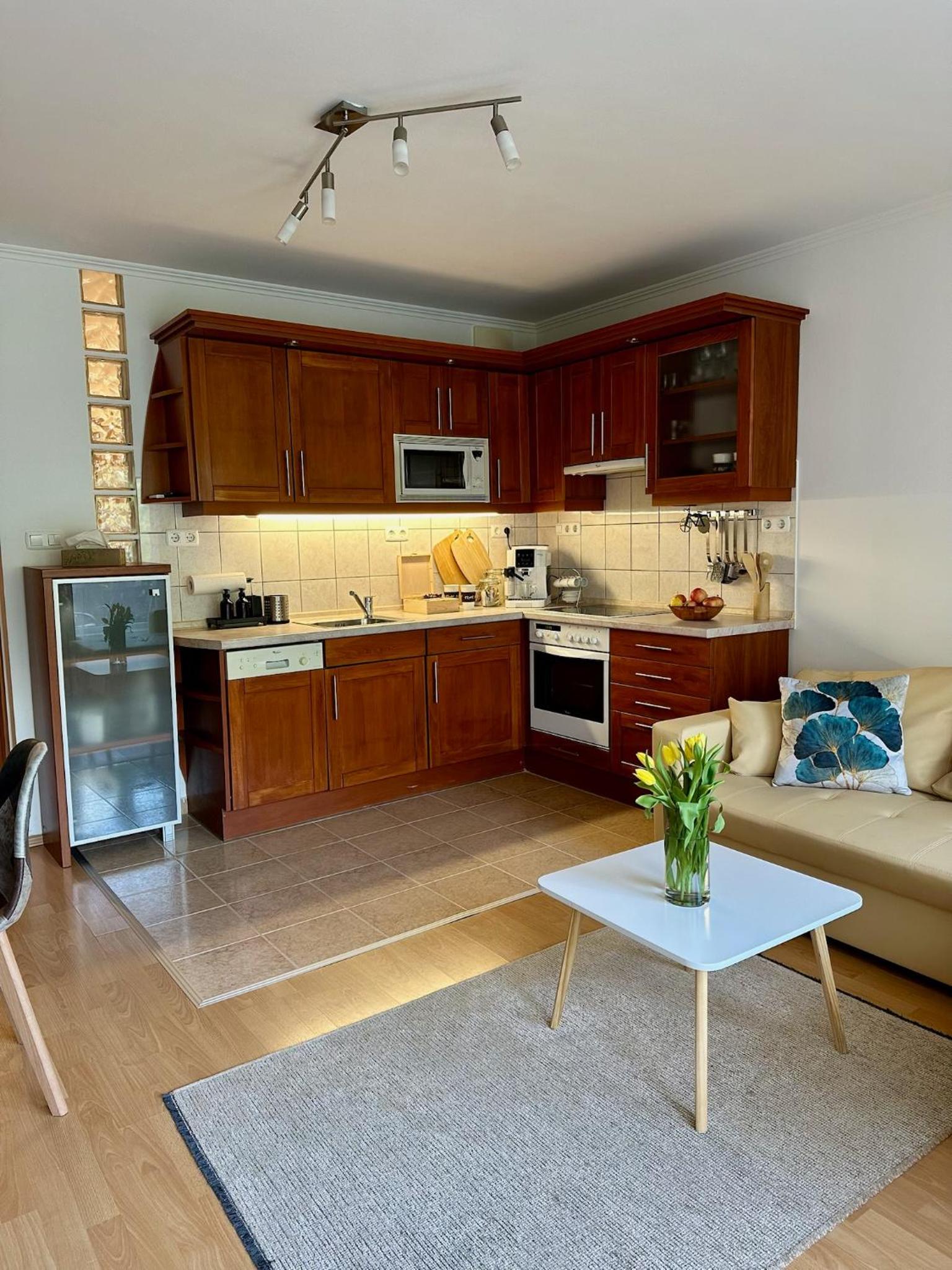 T&M Apartments Erkel view 3