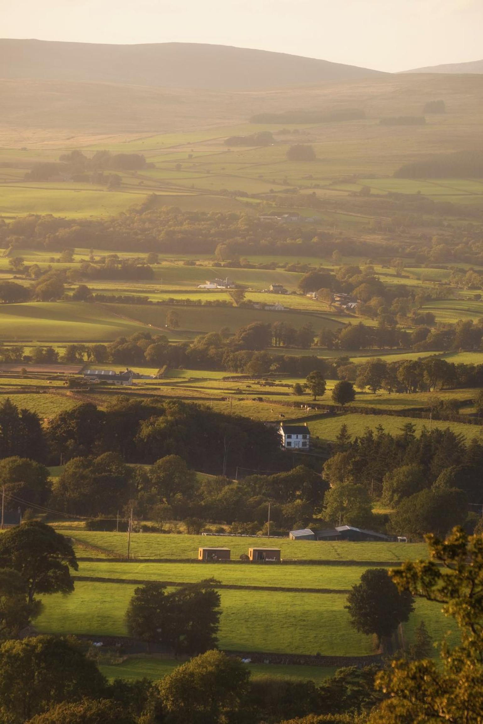 Slemish Hideaway - Funky Pheasant view 2