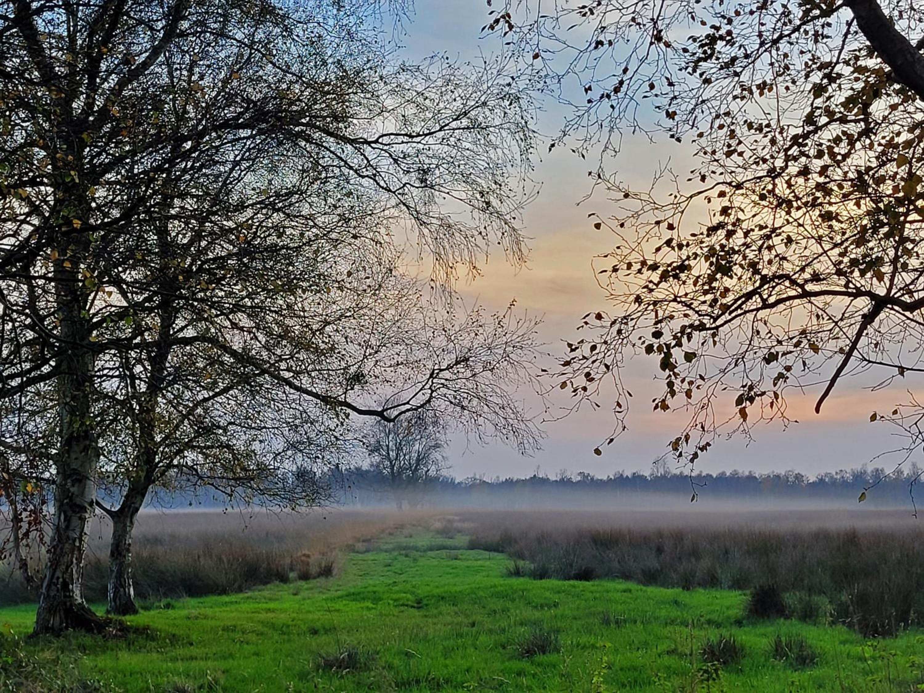 Kranich - Stilvolles Ferien-Apartment am Naturschutzgebiet Dosenmoor