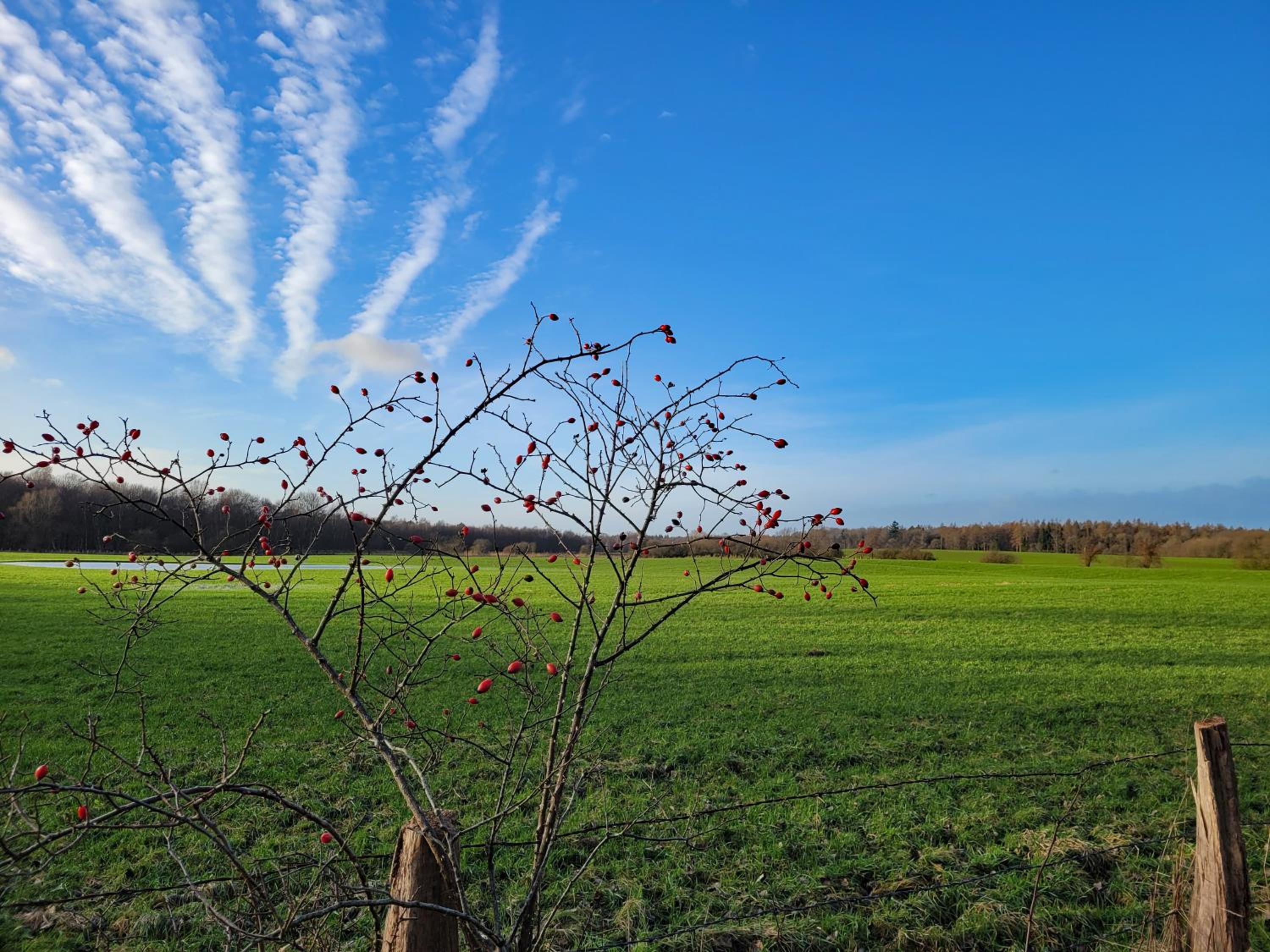 Kranich - Stilvolles Ferien-Apartment am Naturschutzgebiet Dosenmoor