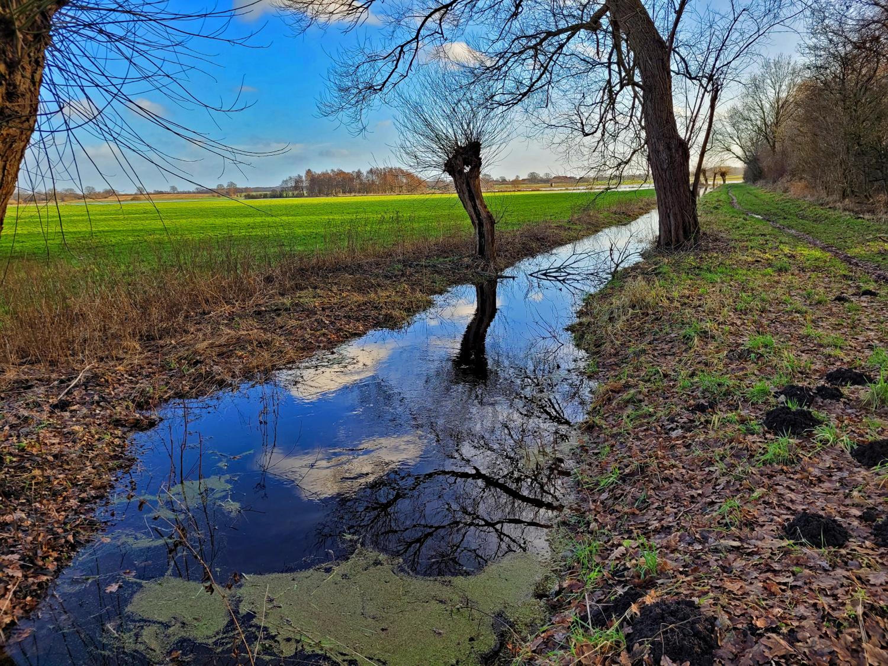 Kranich - Stilvolles Ferien-Apartment am Naturschutzgebiet Dosenmoor