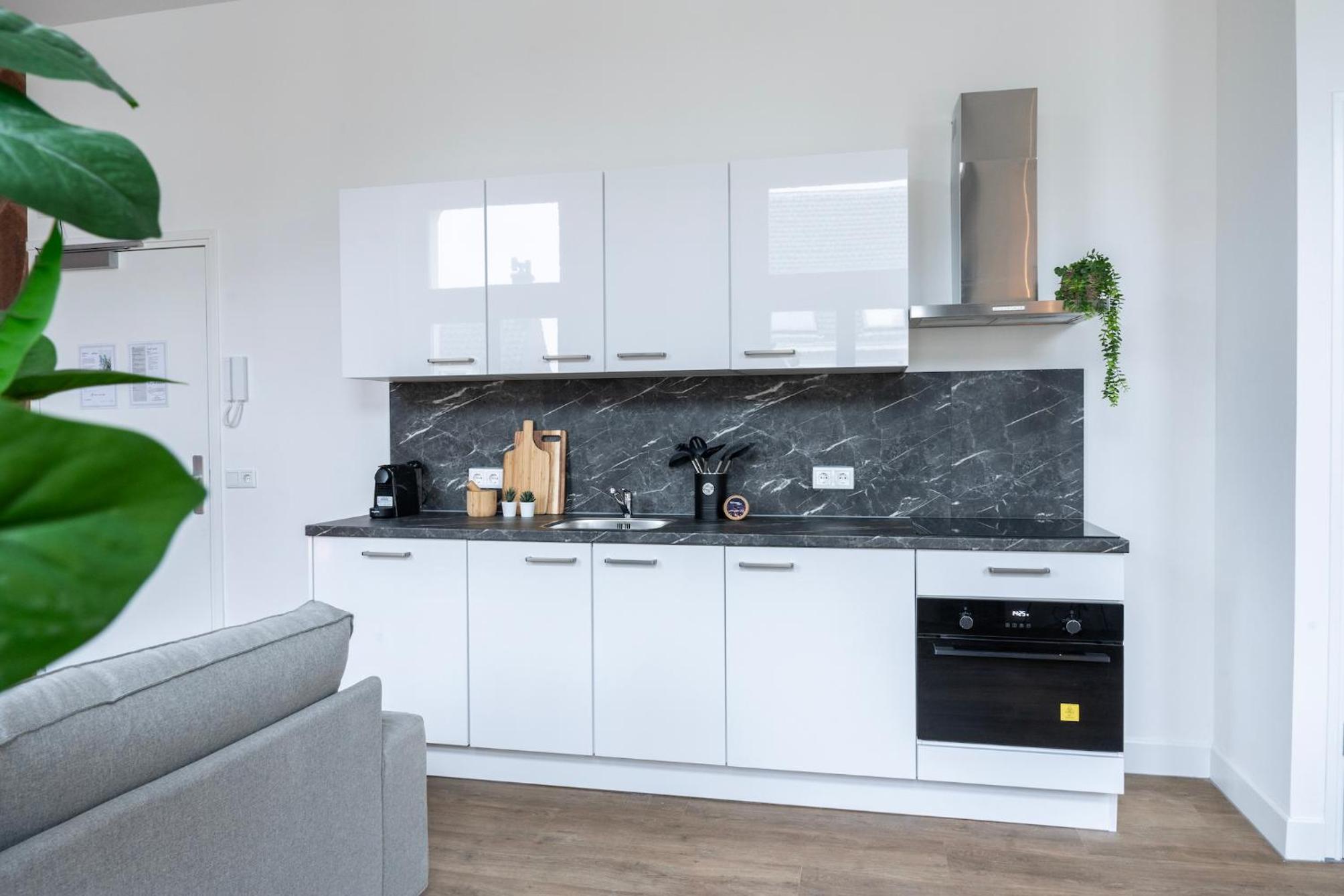 Modern Home, Pleasant and Neat Abel view 3