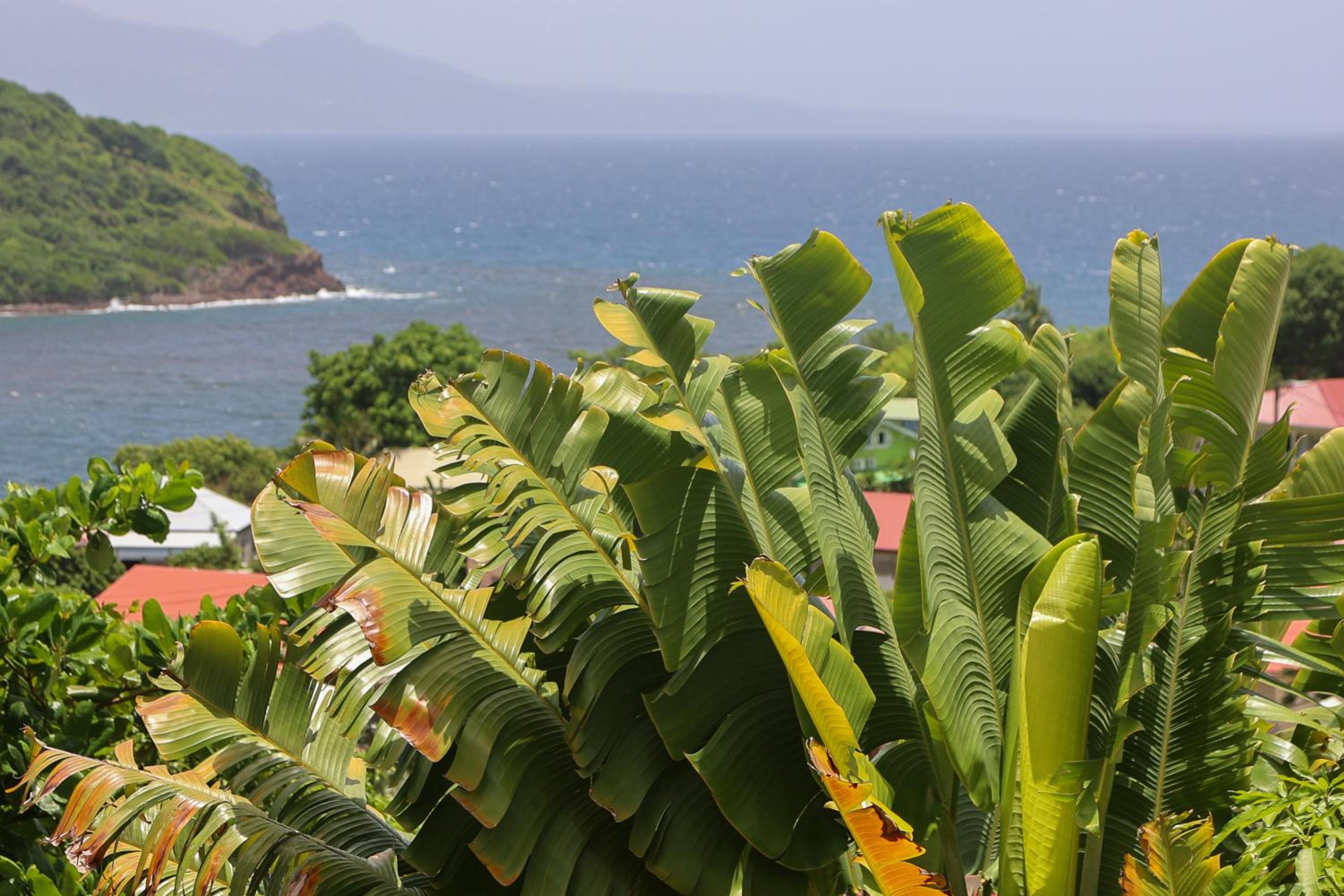 Cottages Les 3 Rochers - Vue sur mer view 2
