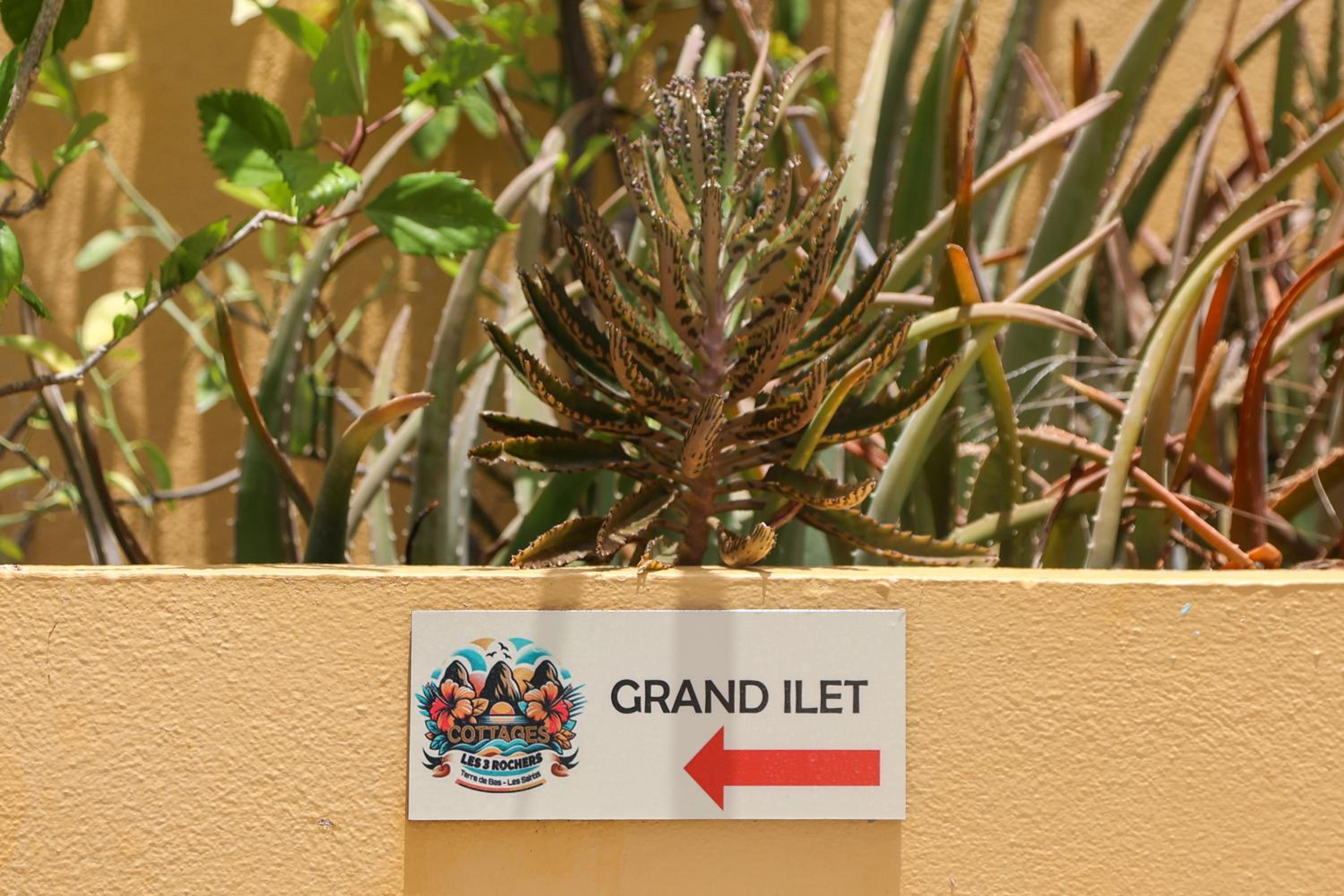Photo 37