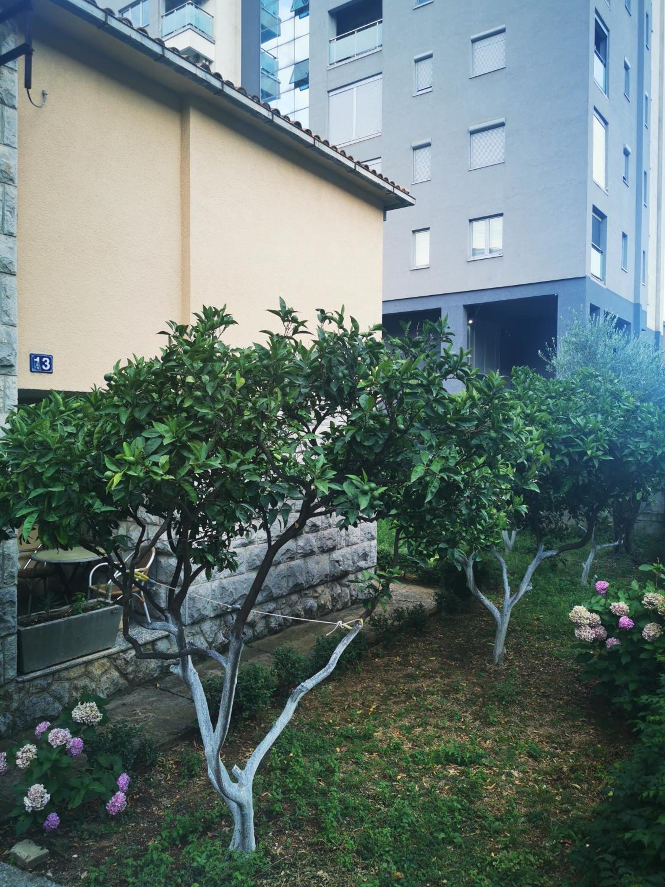 Rustic House Budva view 4