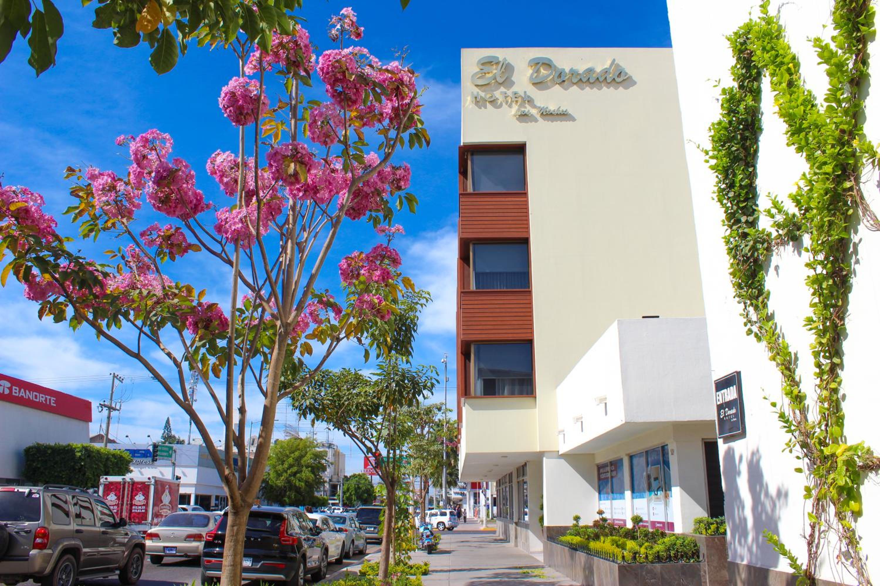 Los Mochis Vacations - El Dorado - Property Image 1