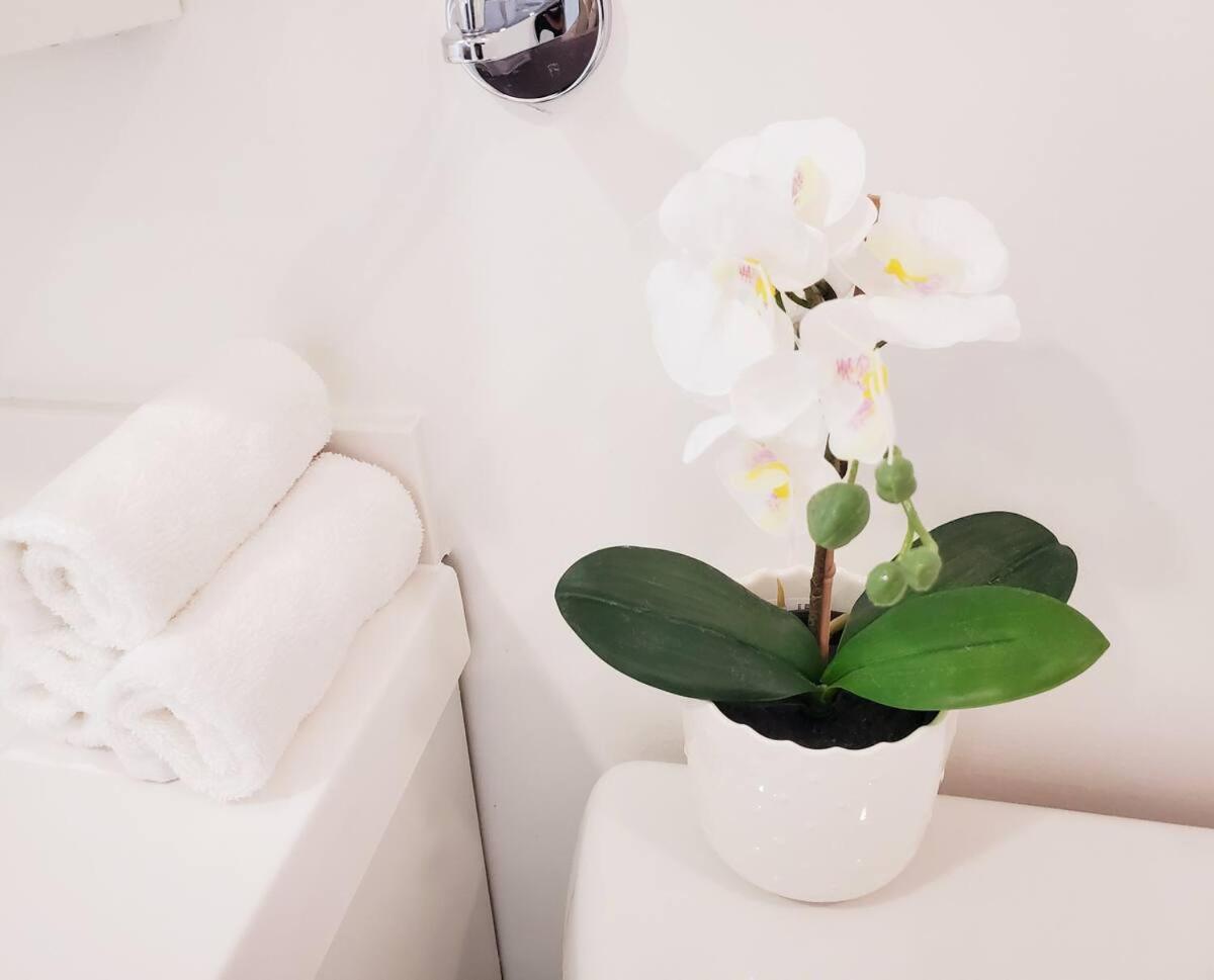 Dufferin Serenity Suite