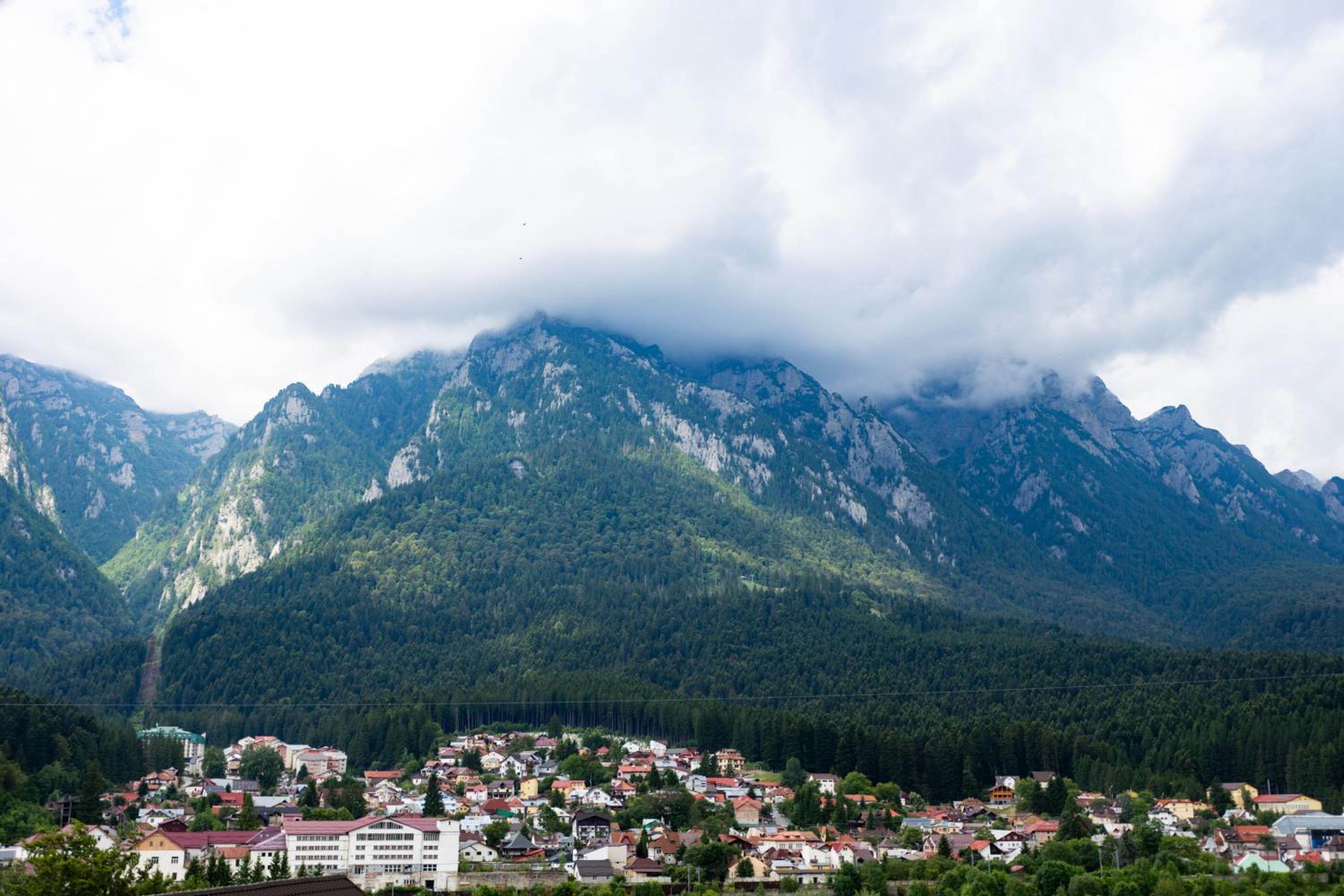 The Bear House view 4