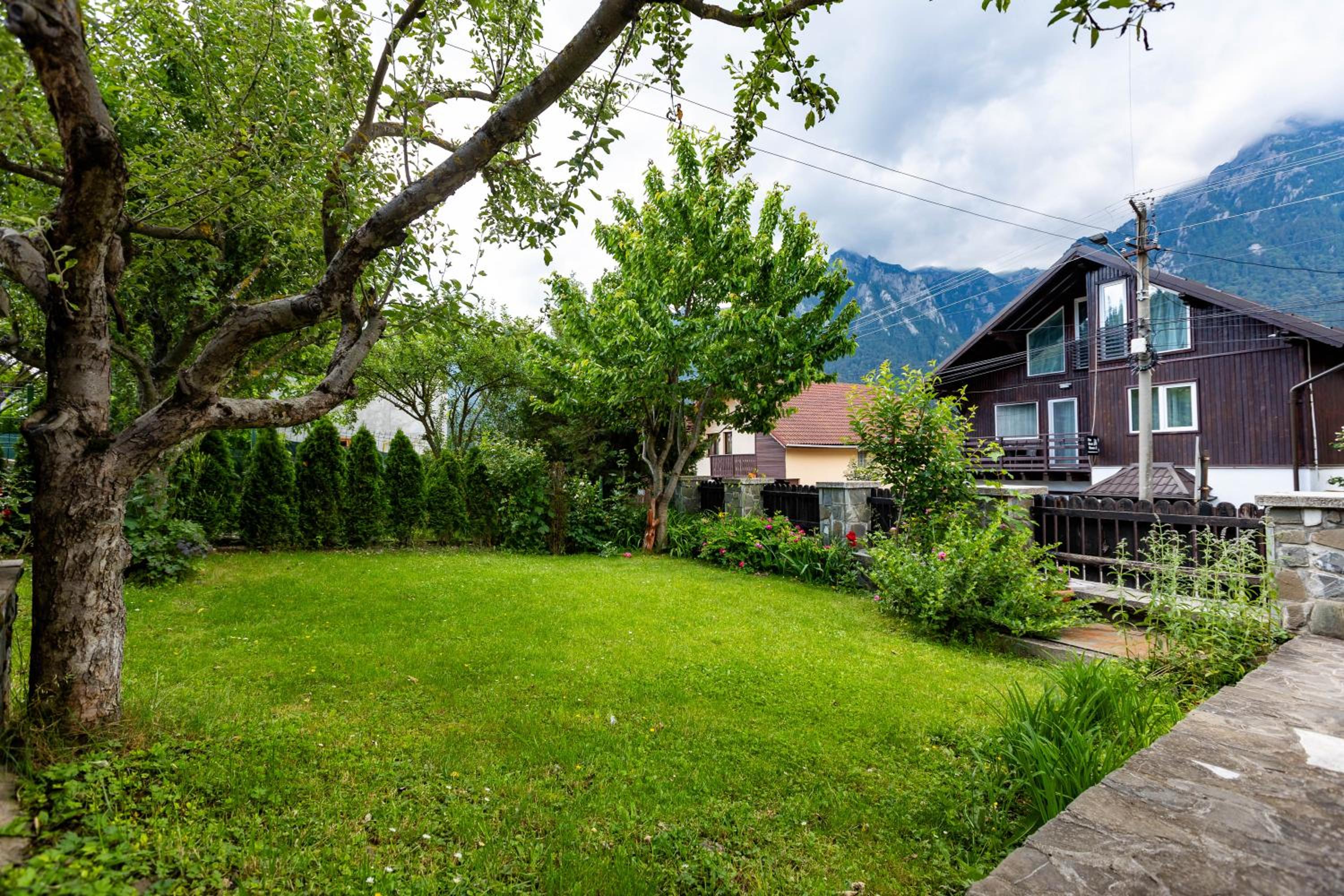 The Bear House view 2