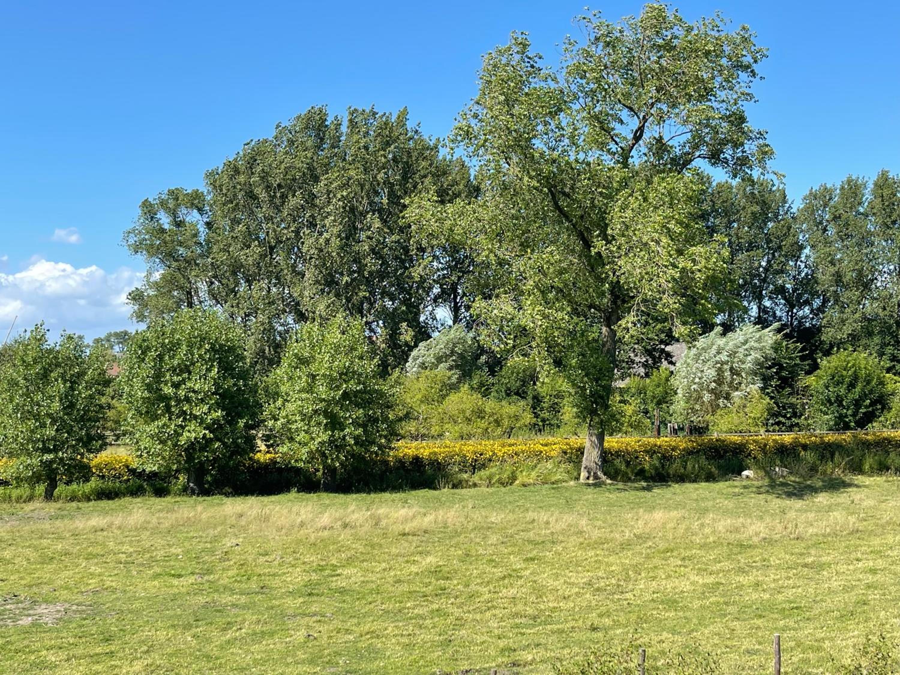 Uniek Tiny house nabij de kust in mooie polders