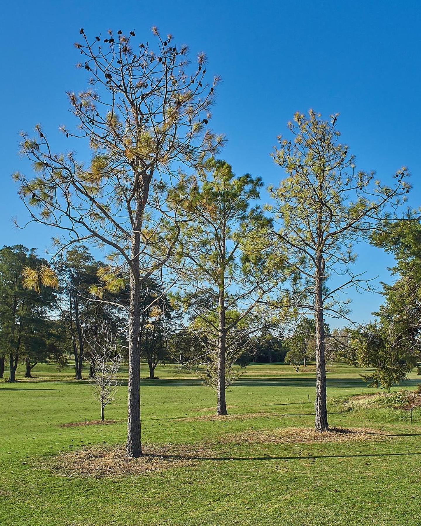 La Cantera Eco Hotel & Golf