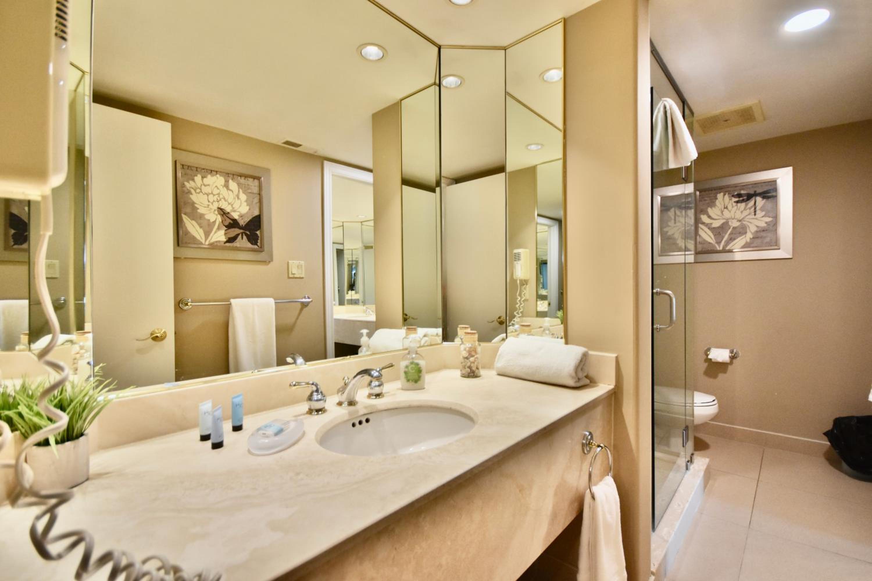 Luxury Garden View Jacuzzi Suite Pool Sauna Gym