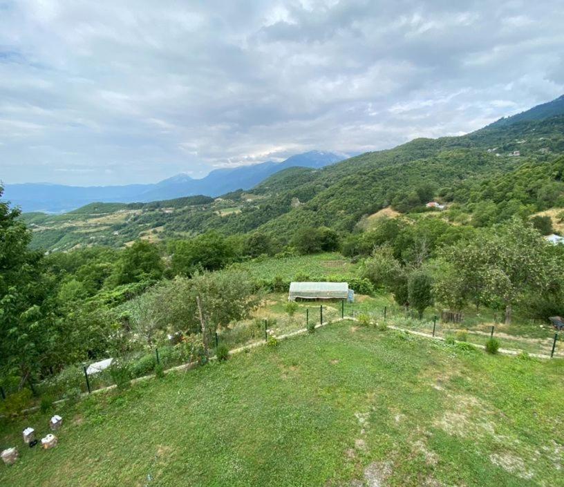 Guest House Egzoni