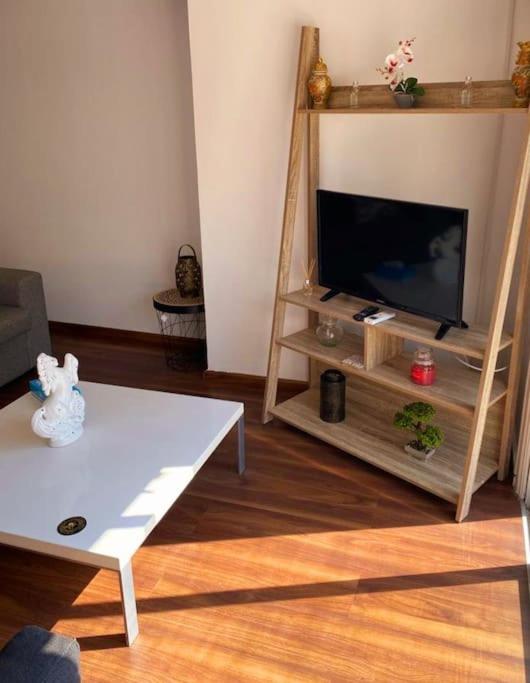 Large modern flat