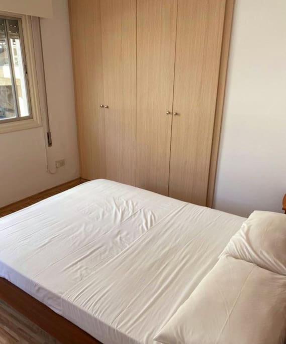 Large modern flat
