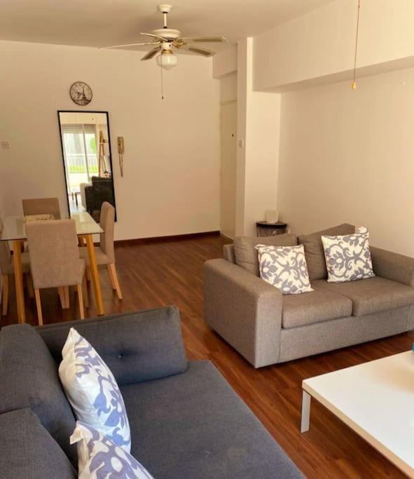 Large modern flat