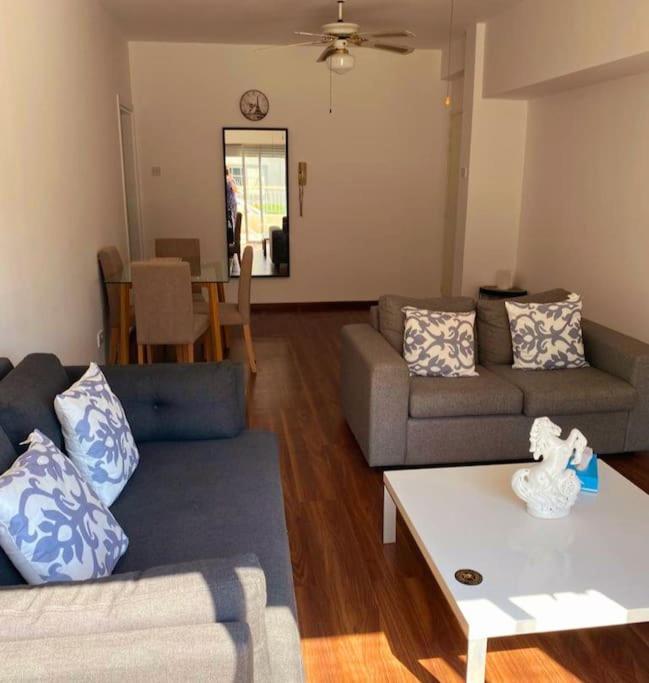 Large modern flat